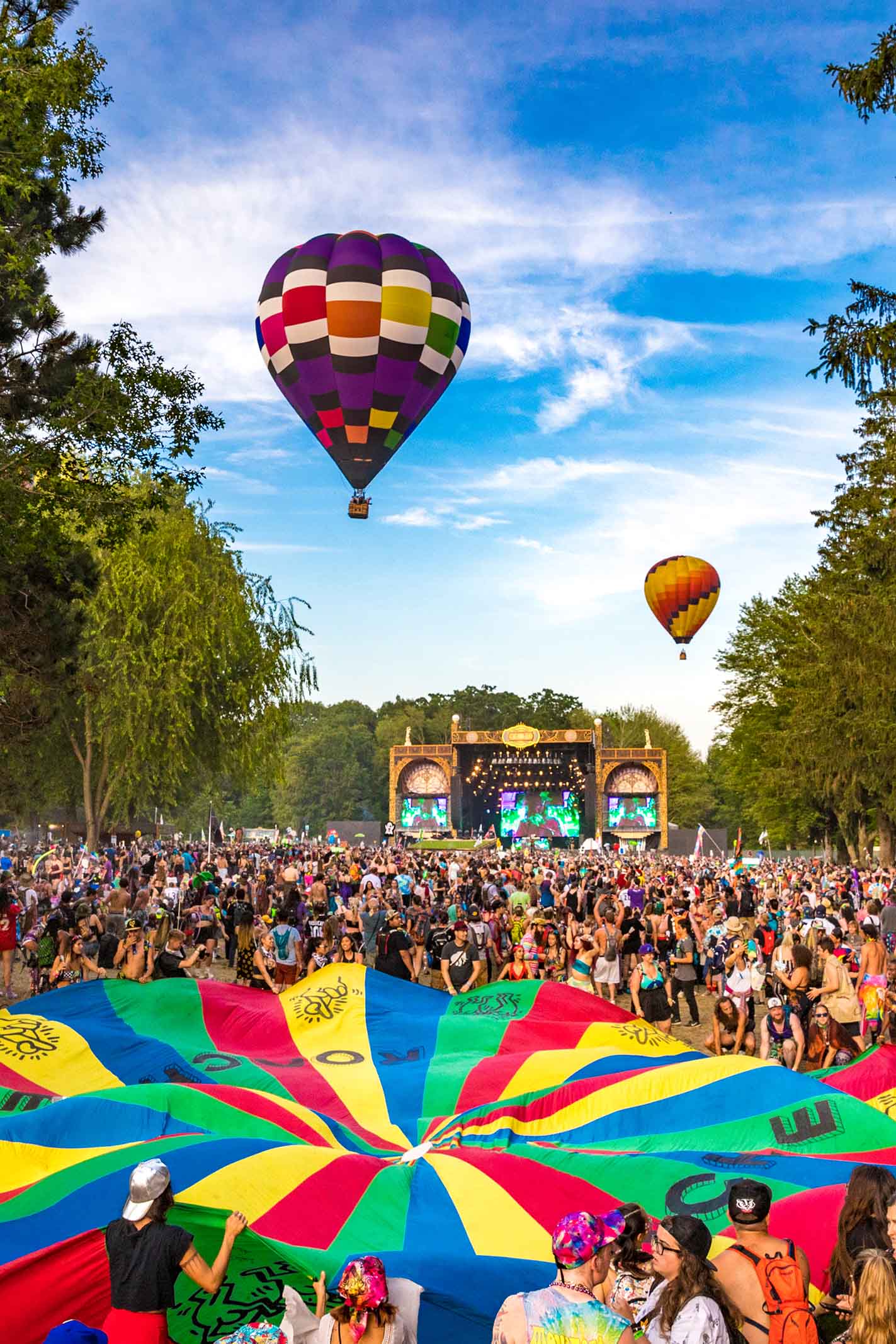 1423x2133 Electric Forest Wallpaper