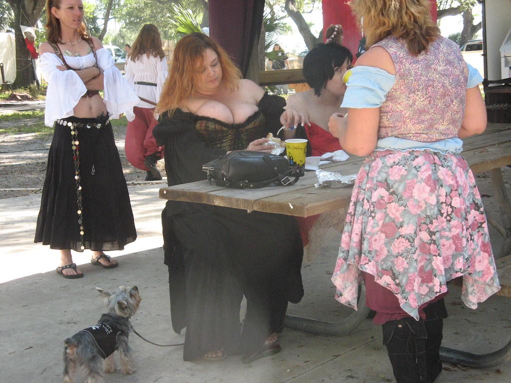 1024x768 renaissance festival