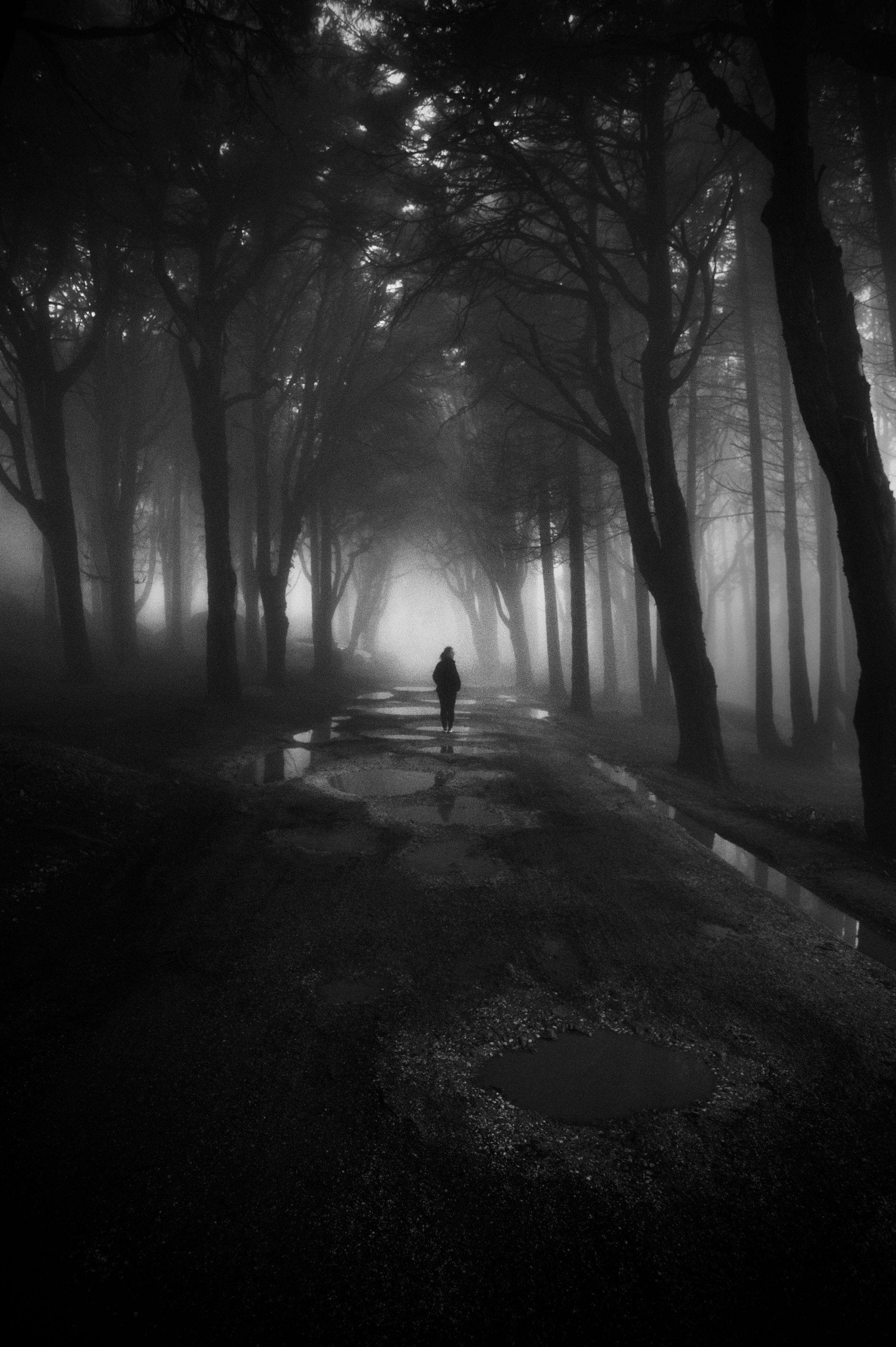 2147x3227 Best Gloomy Photo · 100% Free Downloads