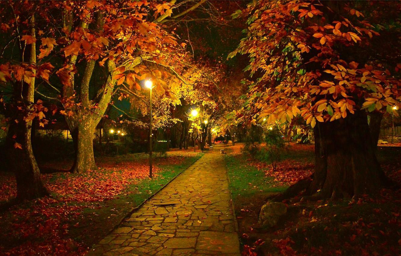 1332x850 Autumn Night Wallpaper Wallpaper Popular Autumn Night Wallpaper Background