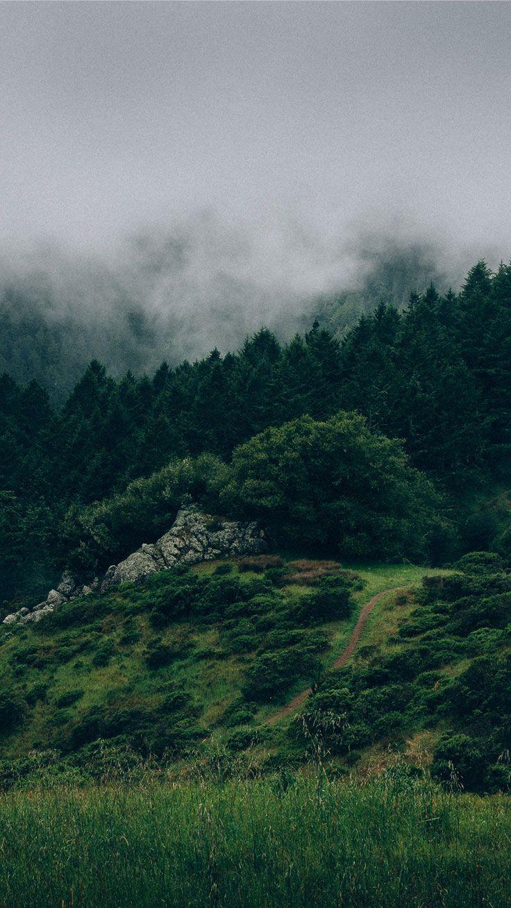 736x1308 Nature iphone wallpaper .com