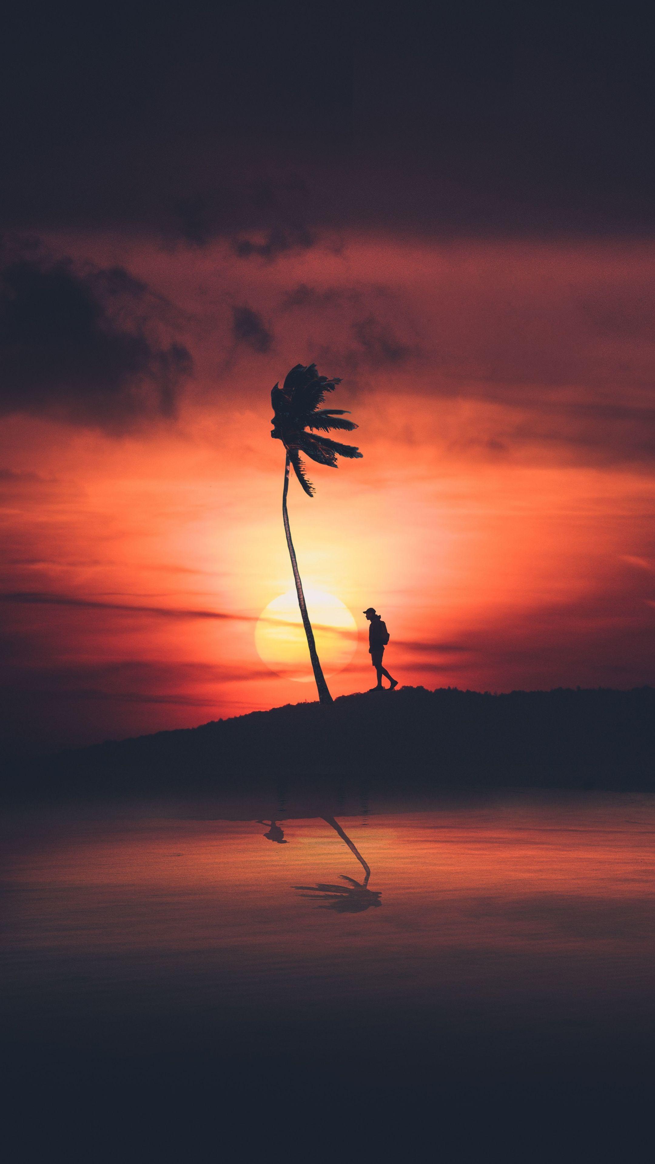 2160x3840 Man and palm tree, silhouette, sunset, 2160x3840 wallpaper. iPhone wallpaper sky, Sunset wallpaper, Night sky painting