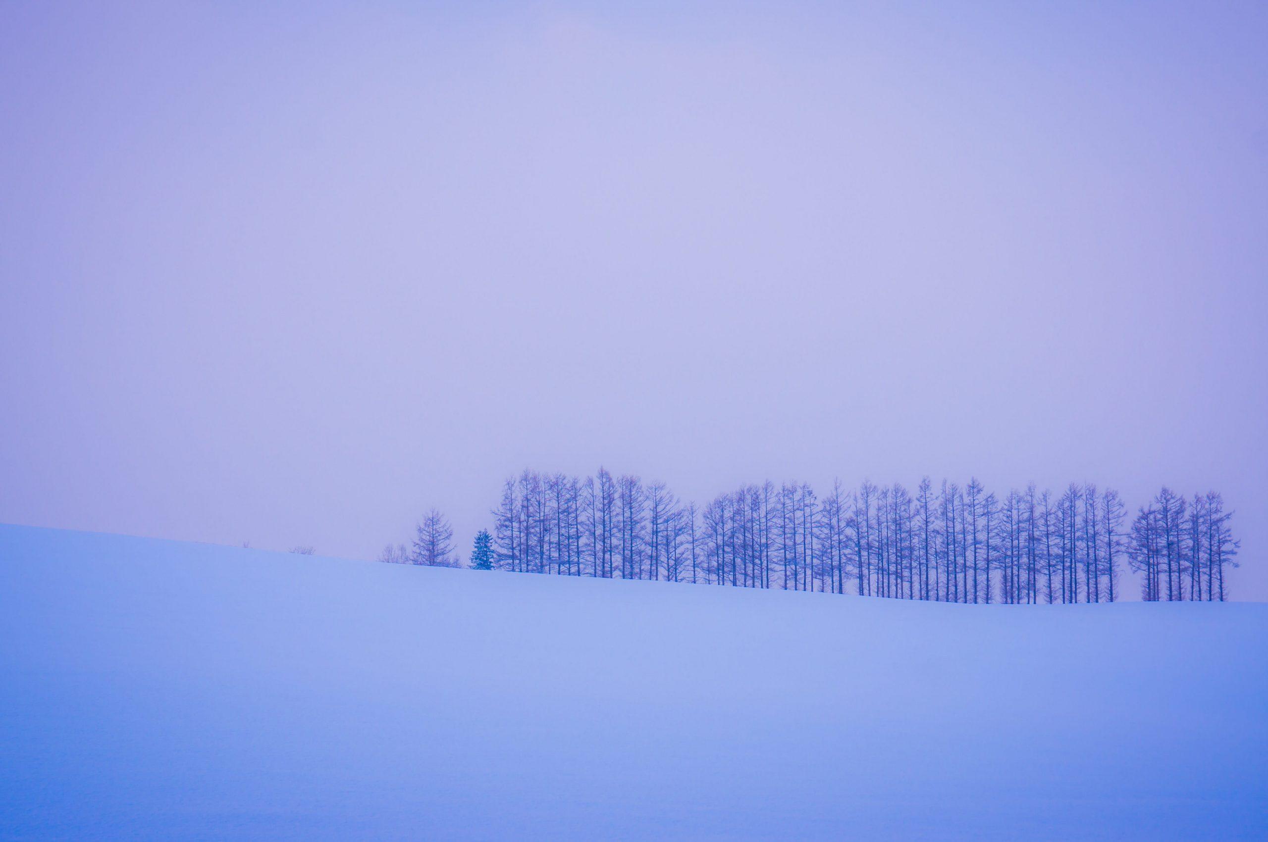 2560x1701 Japan Wallpaper Biei, Morning, Serene, Dawn, Quiet, Beautiful, Pastel • Wallpaper For You