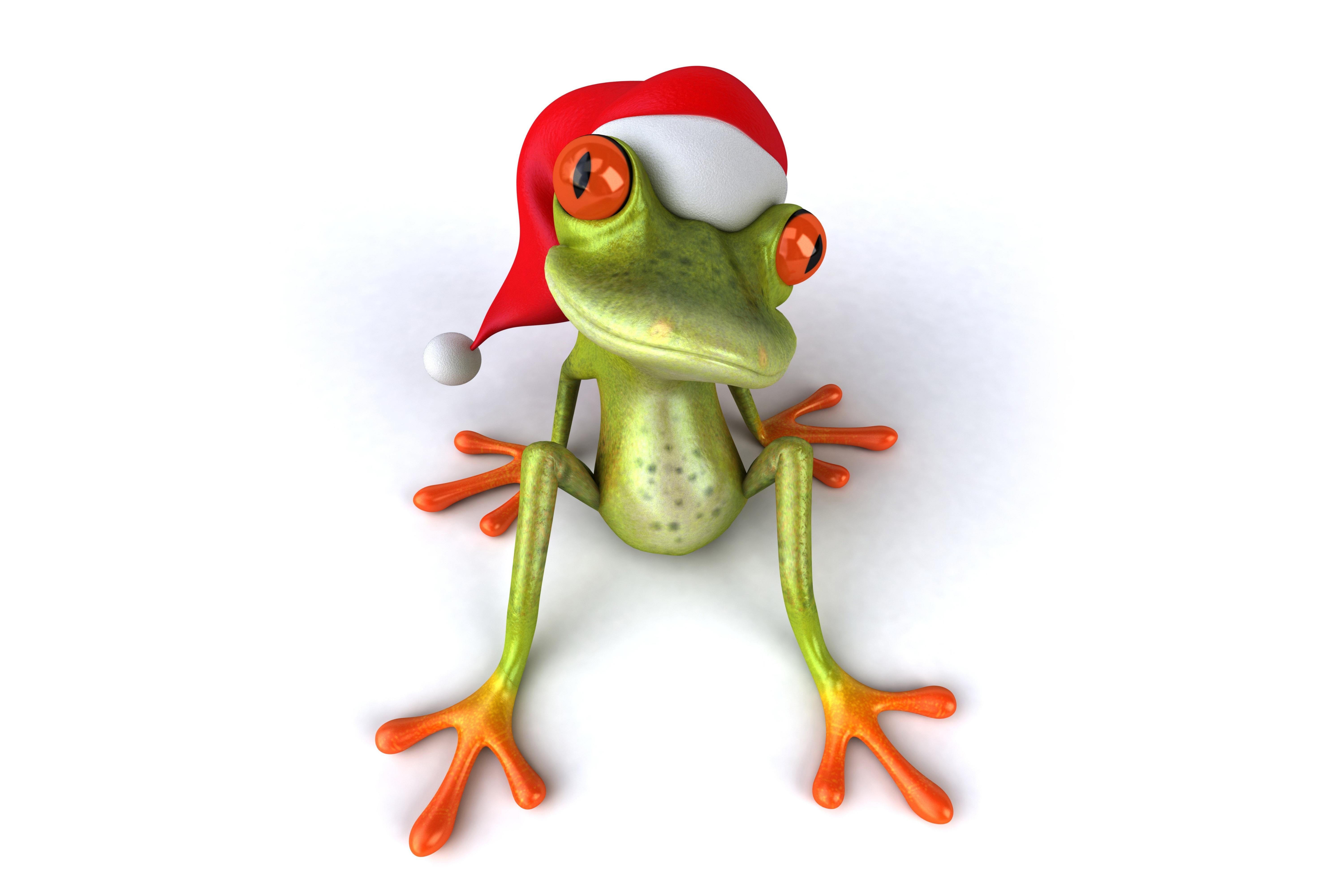 Cute Christmas Frog Wallpapers - Top Free Cute Christmas Frog
