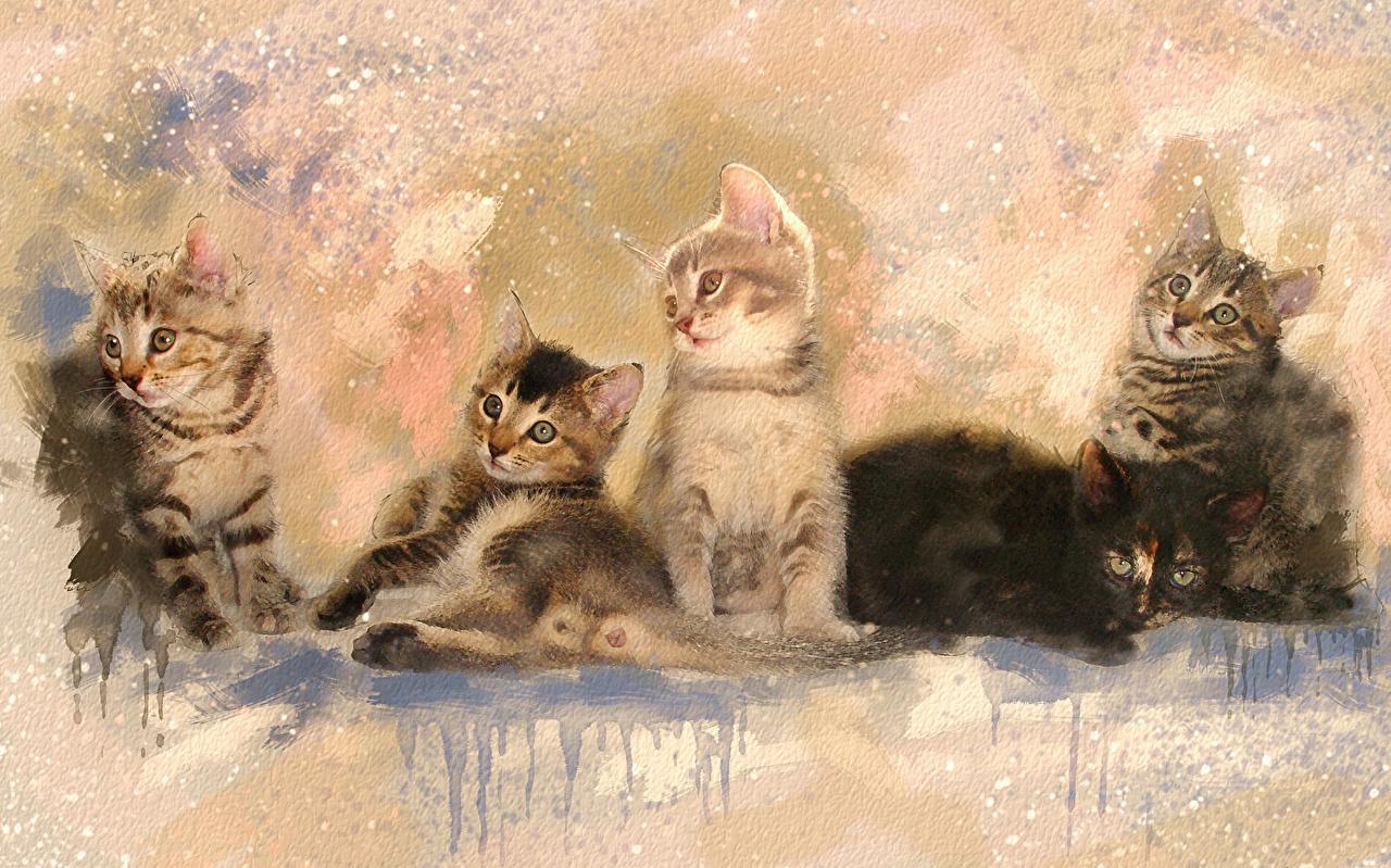 1280x799 Wallpaper Kittens cat Animals Painting Art