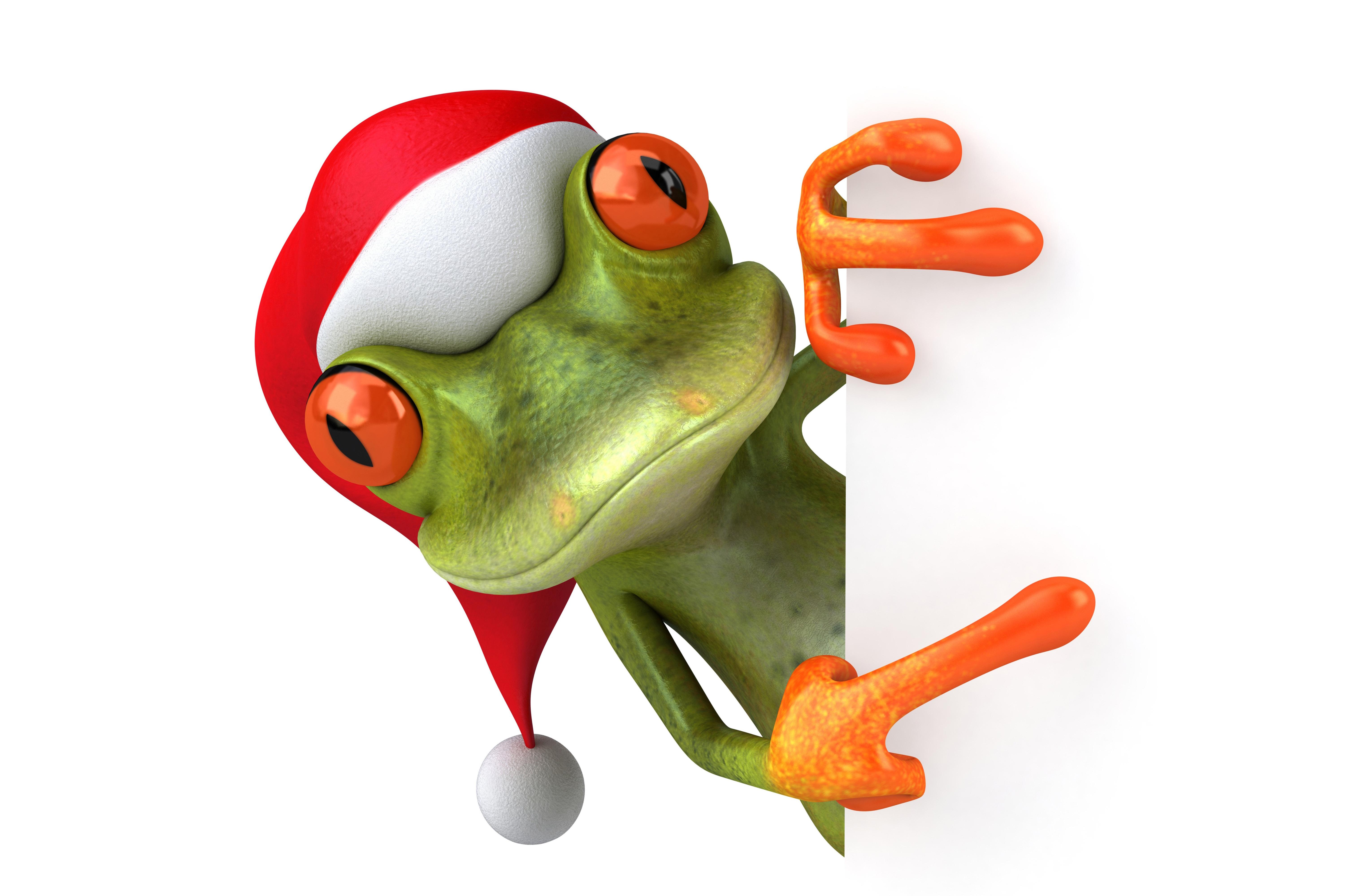 Cute Christmas Frog Wallpapers - Top Free Cute Christmas Frog