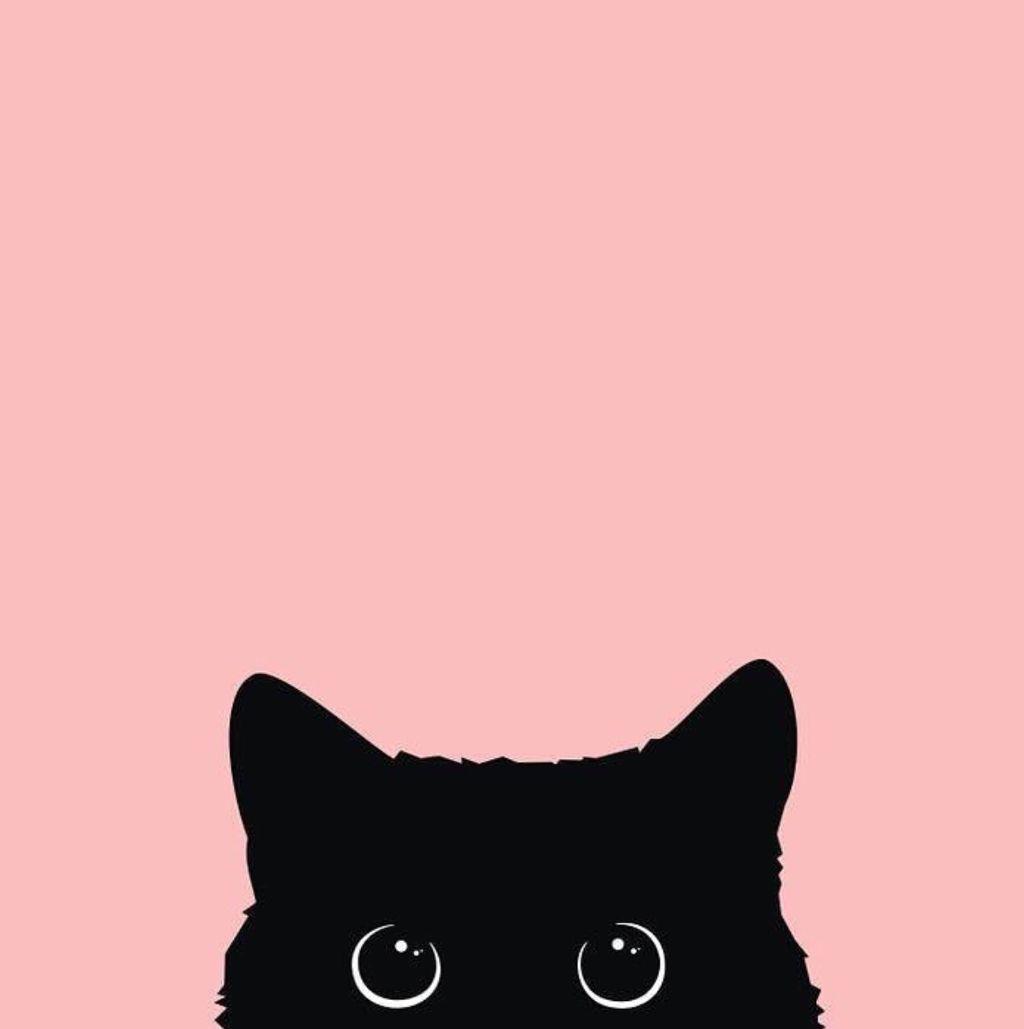 1024x1029 freetoedit #pink #black #cat #kitten #background #wallpaper