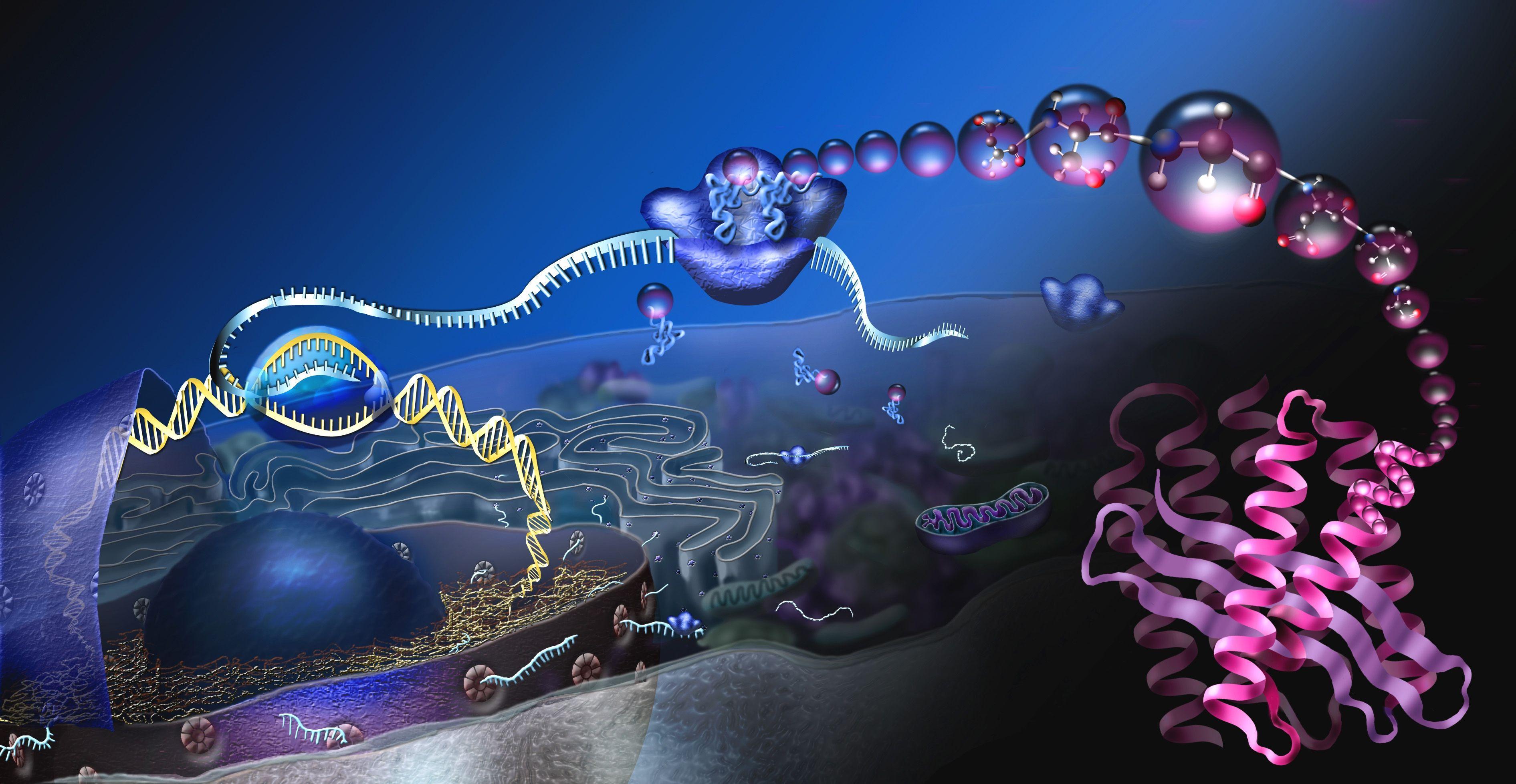 3783x1958 Biology Art Wallpaper