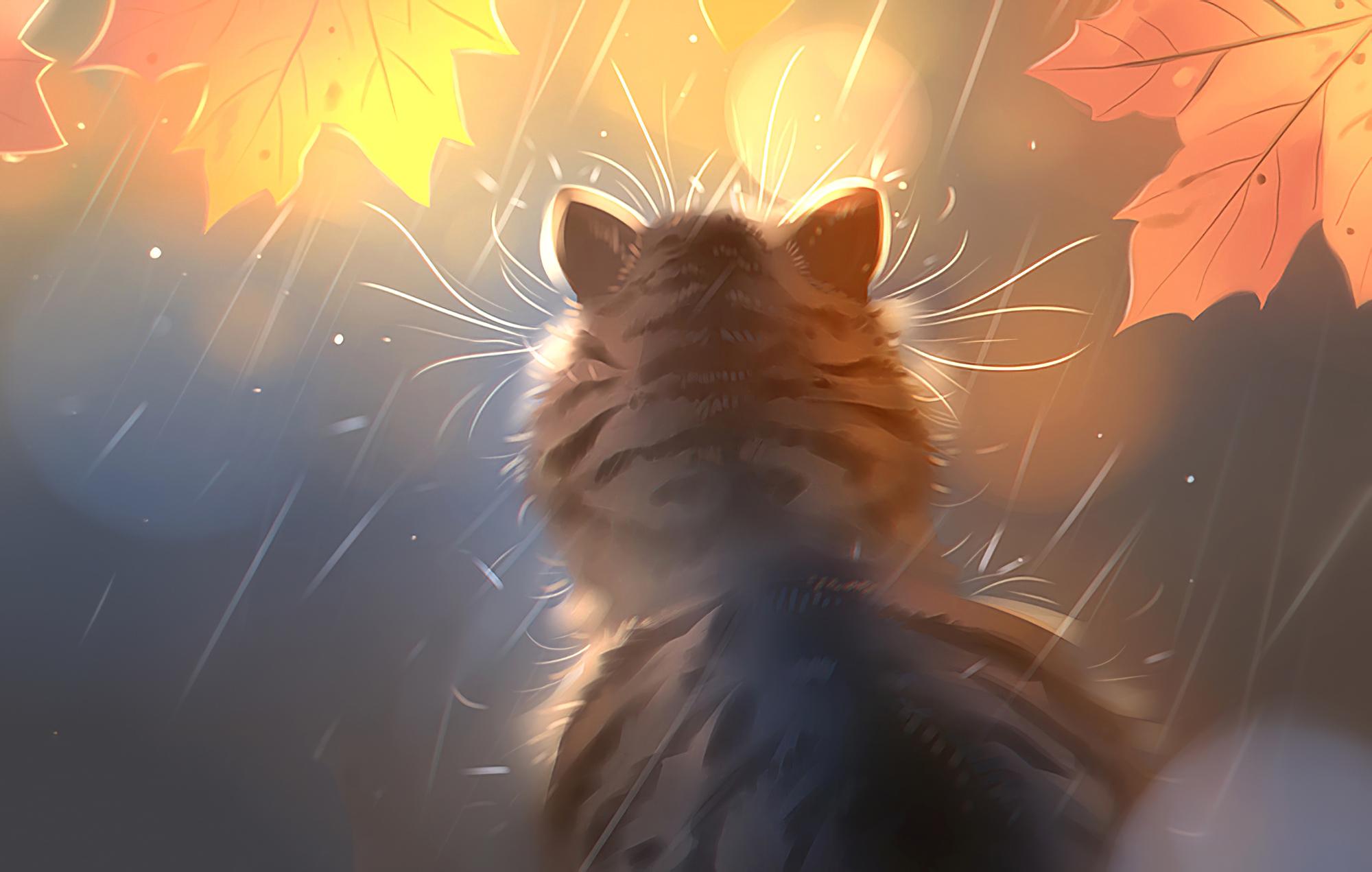 2000x1271 Kitten Rain Digital Art, HD Artist, 4k Wallpaper, Image, Background, Photo and Picture