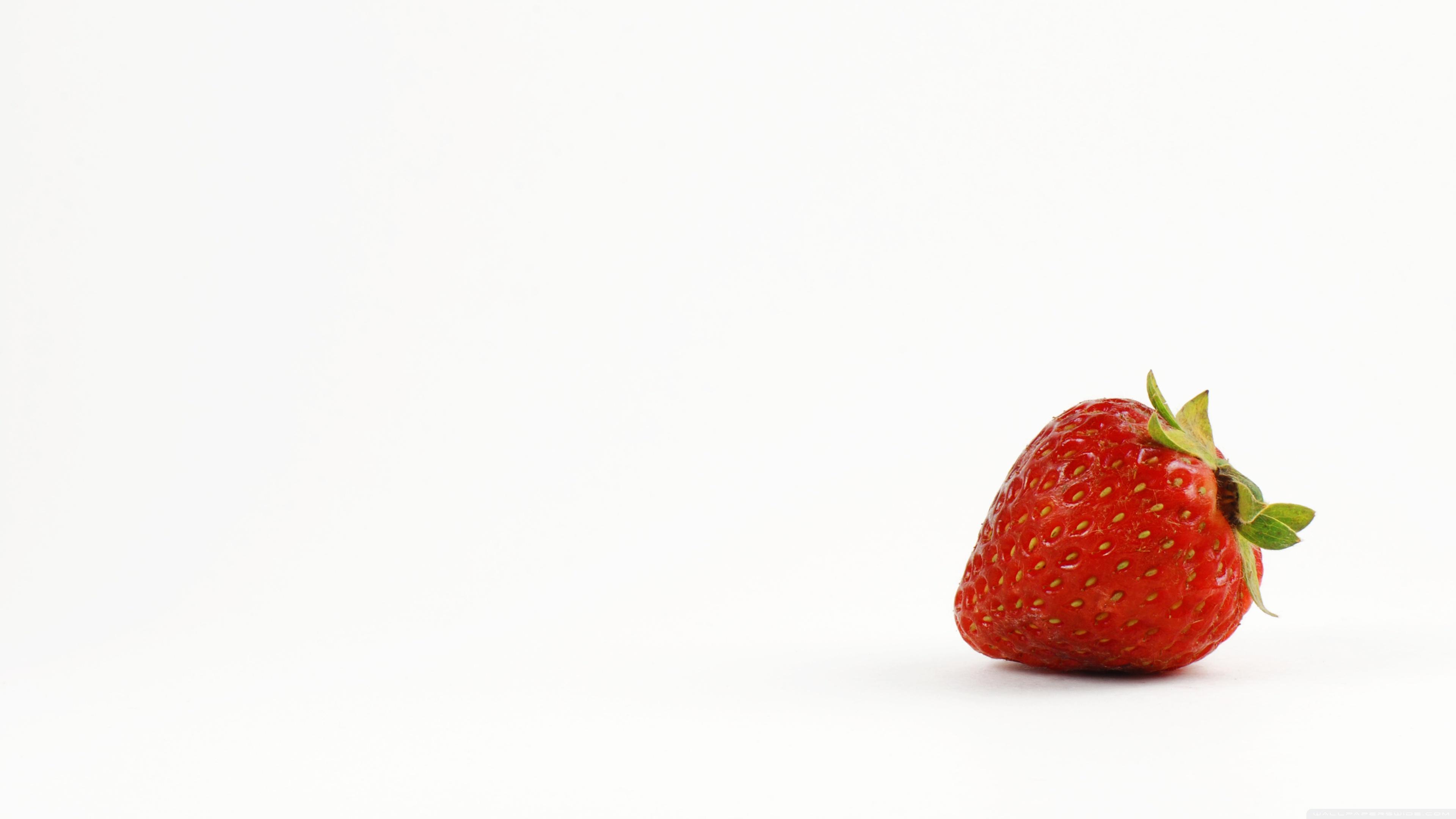 3840x2160 Strawberry Ultra HD Desktop Background Wallpaper for 4K UHD TV : Multi Display, Dual Monitor : Tablet