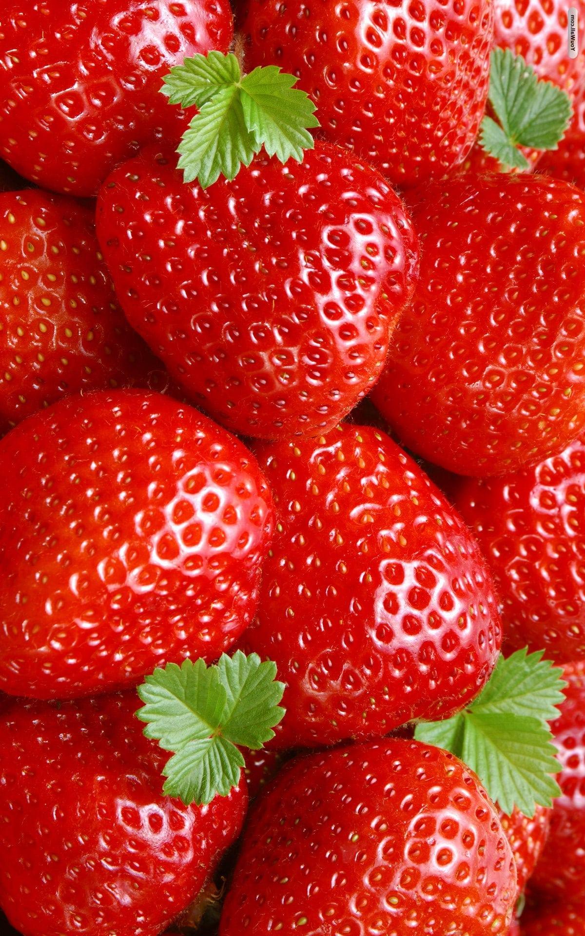 4K Strawberry Wallpapers - Top Free 4K Strawberry Backgrounds ...