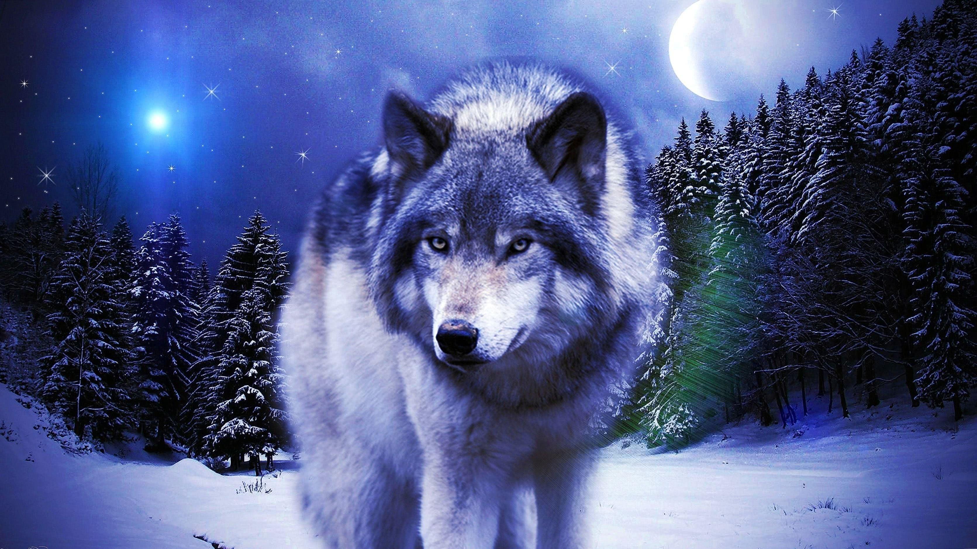 3342x1878 Wolf Wallpaper And Image Background Image