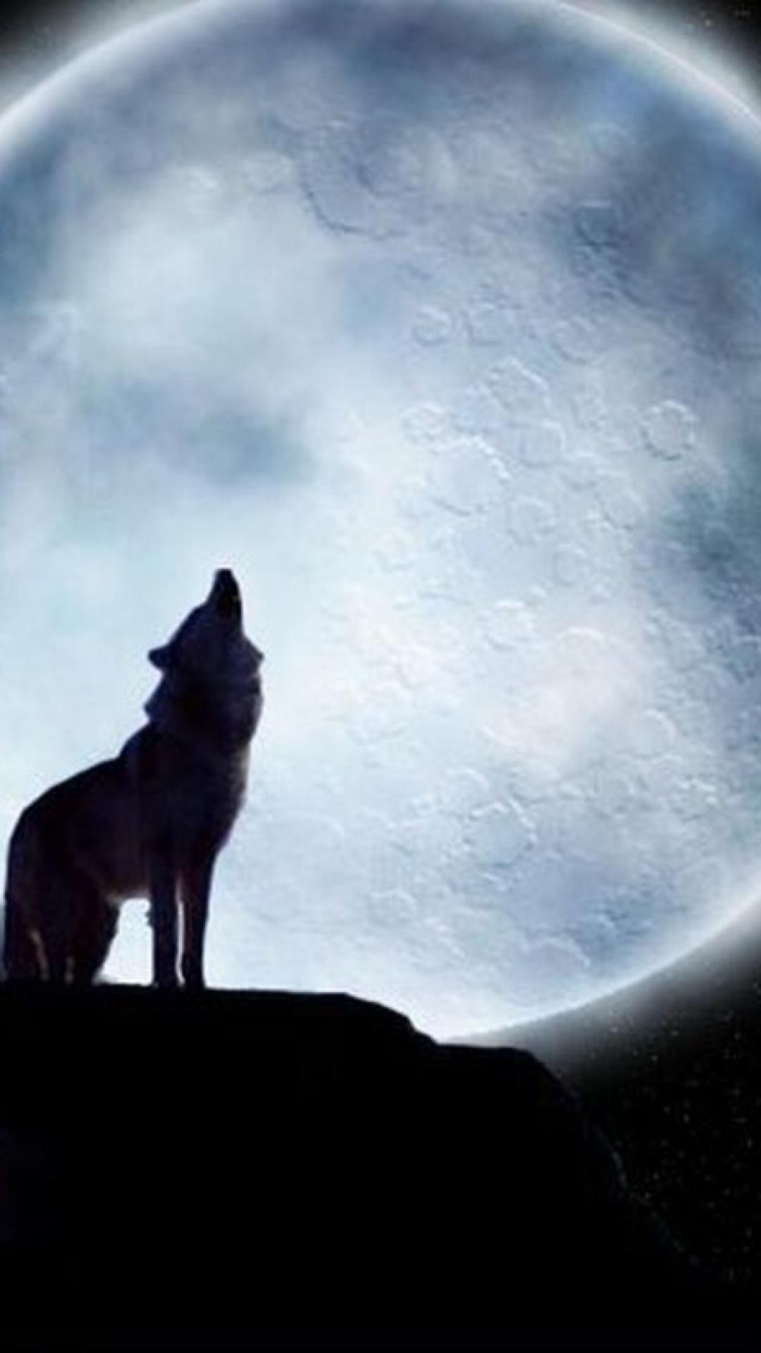 1080x1920 Lone Wolf Wallpaper
