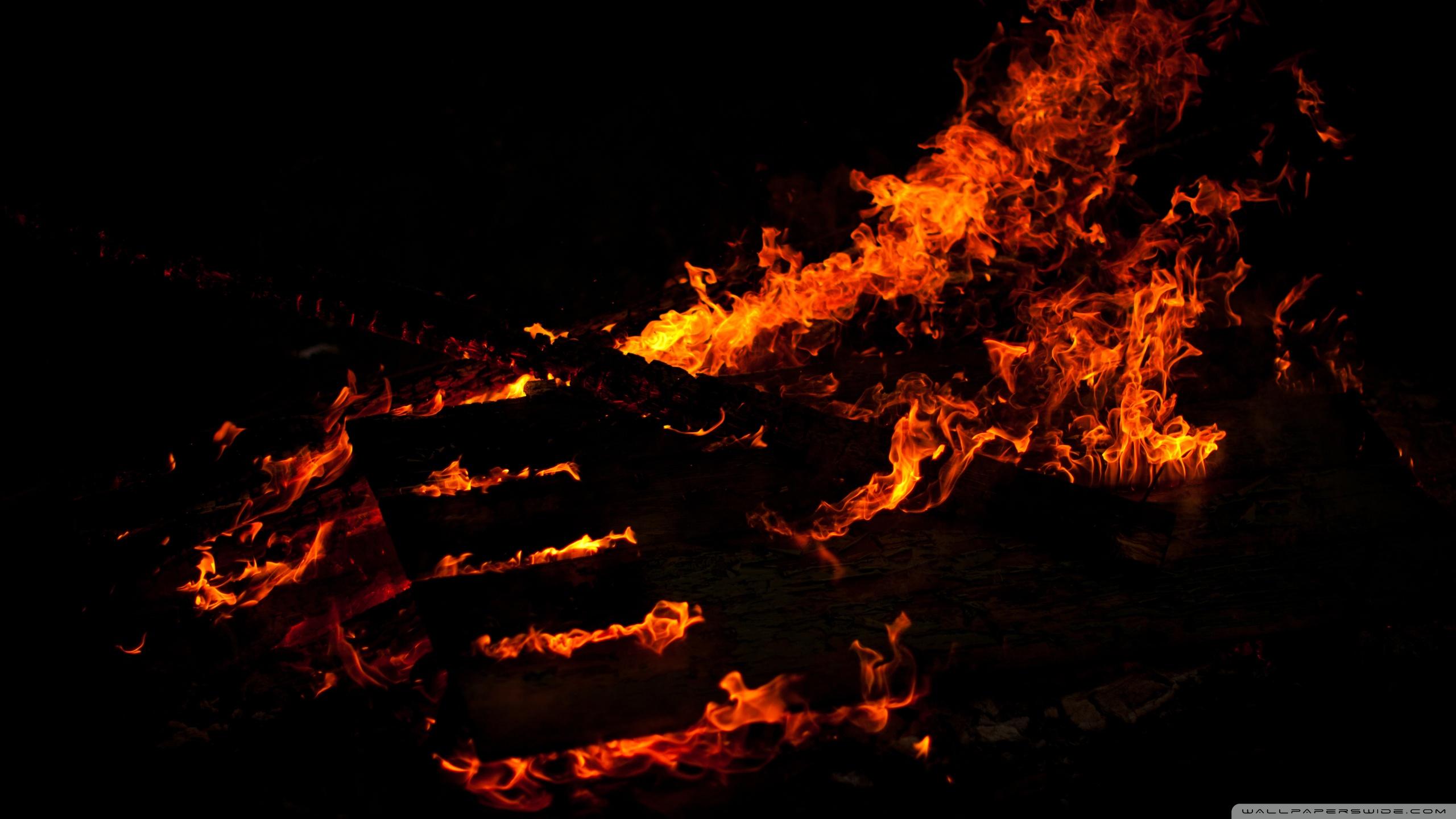 2560x1440 Fire at Night Ultra HD Desktop Background Wallpaper for 4K UHD TV : Tablet
