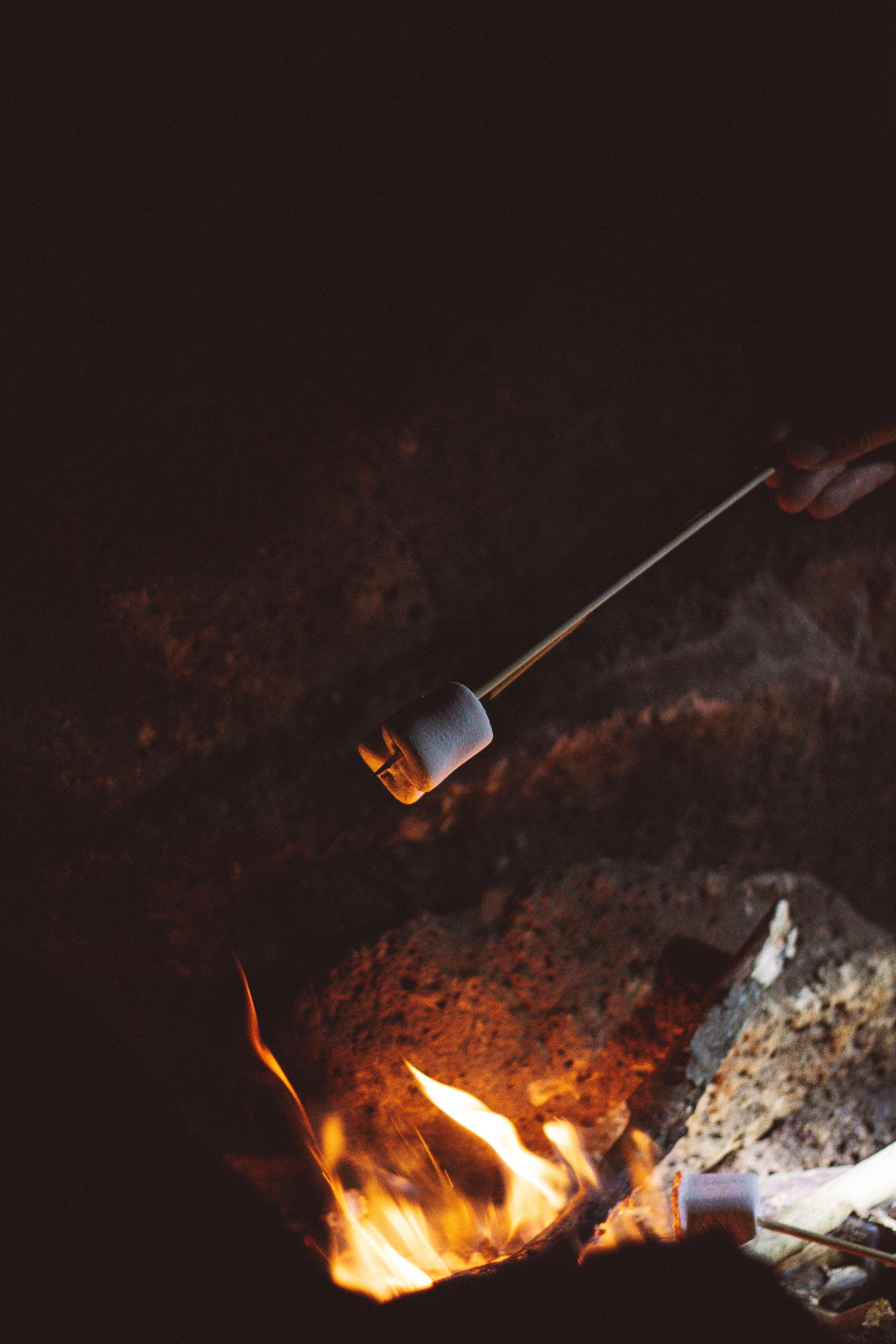2000x3000 Best Campfire Photo · 100% Free Downloads