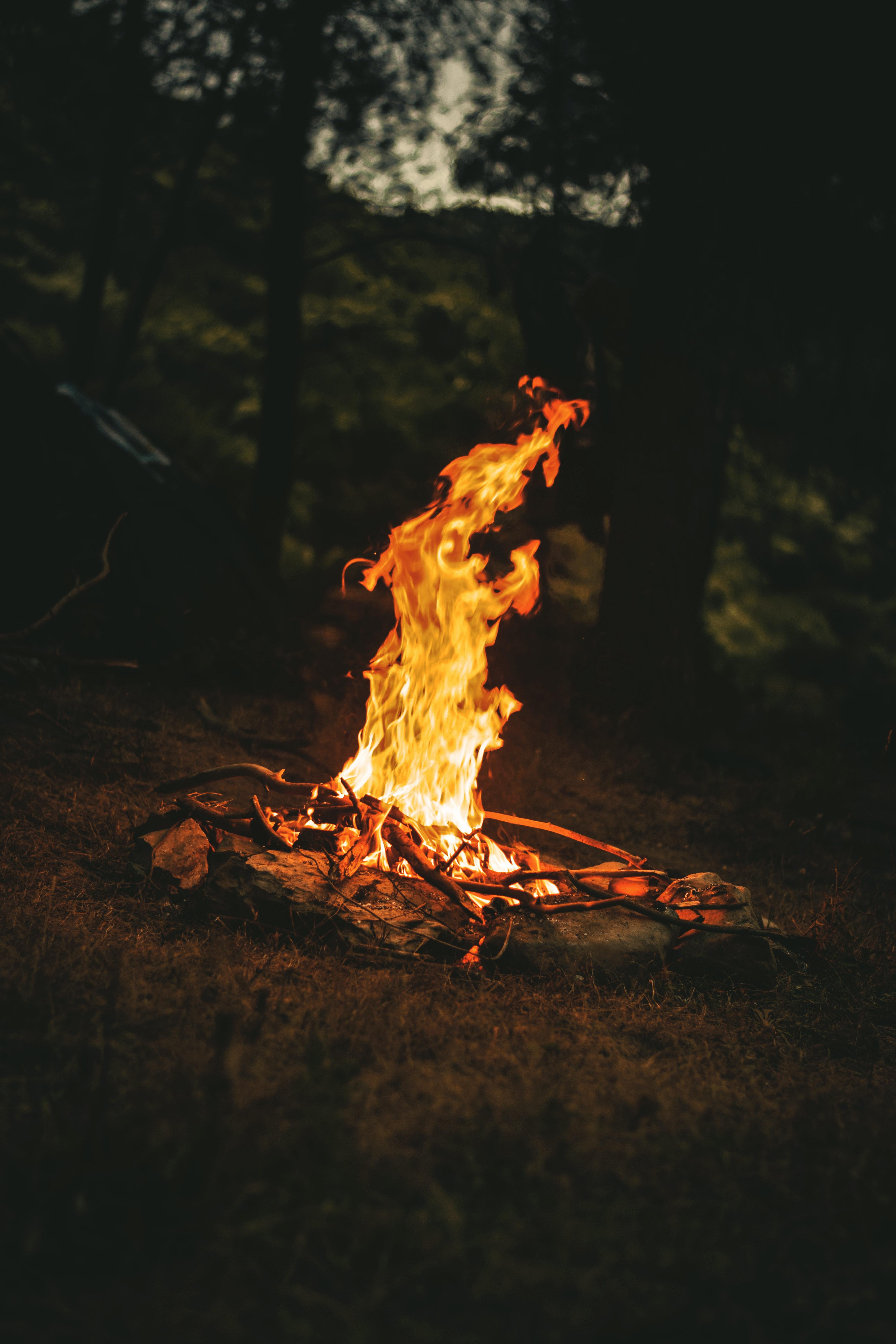 4000x6000 Best Campfire Photo · 100% Free Downloads
