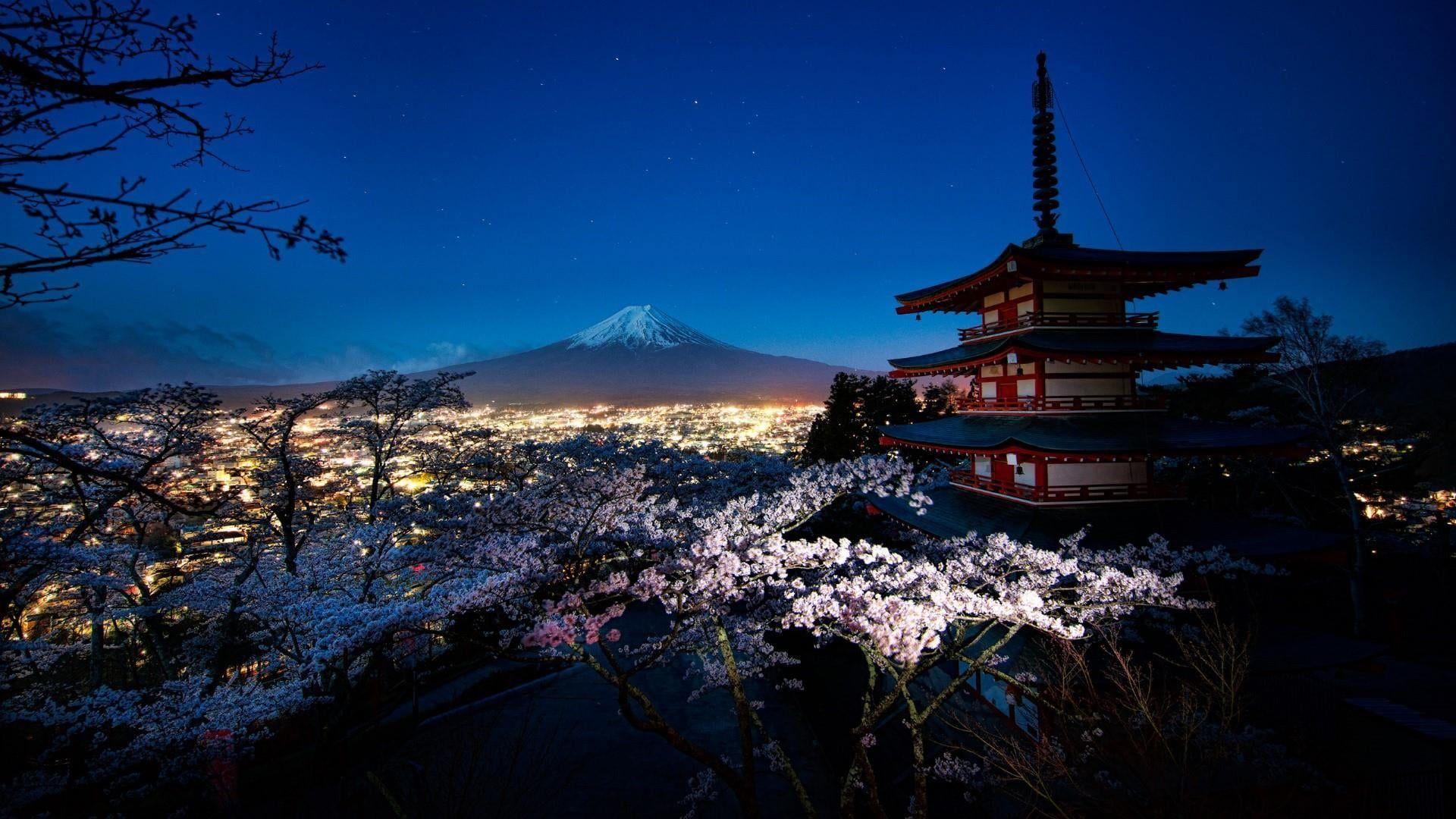 Mount Fuji Cherry Blossom Wallpapers - Top Free Mount Fuji Cherry