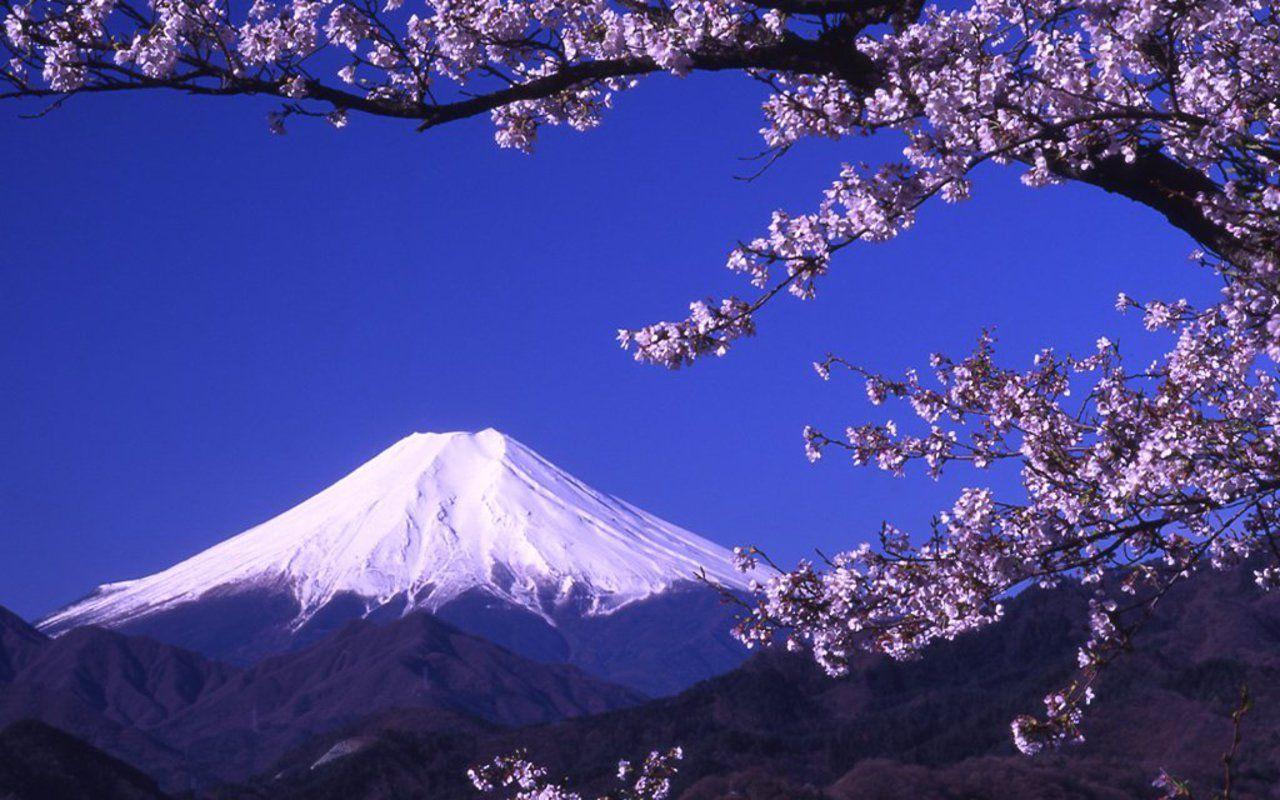 Mount Fuji Cherry Blossom Wallpapers - Top Free Mount Fuji Cherry