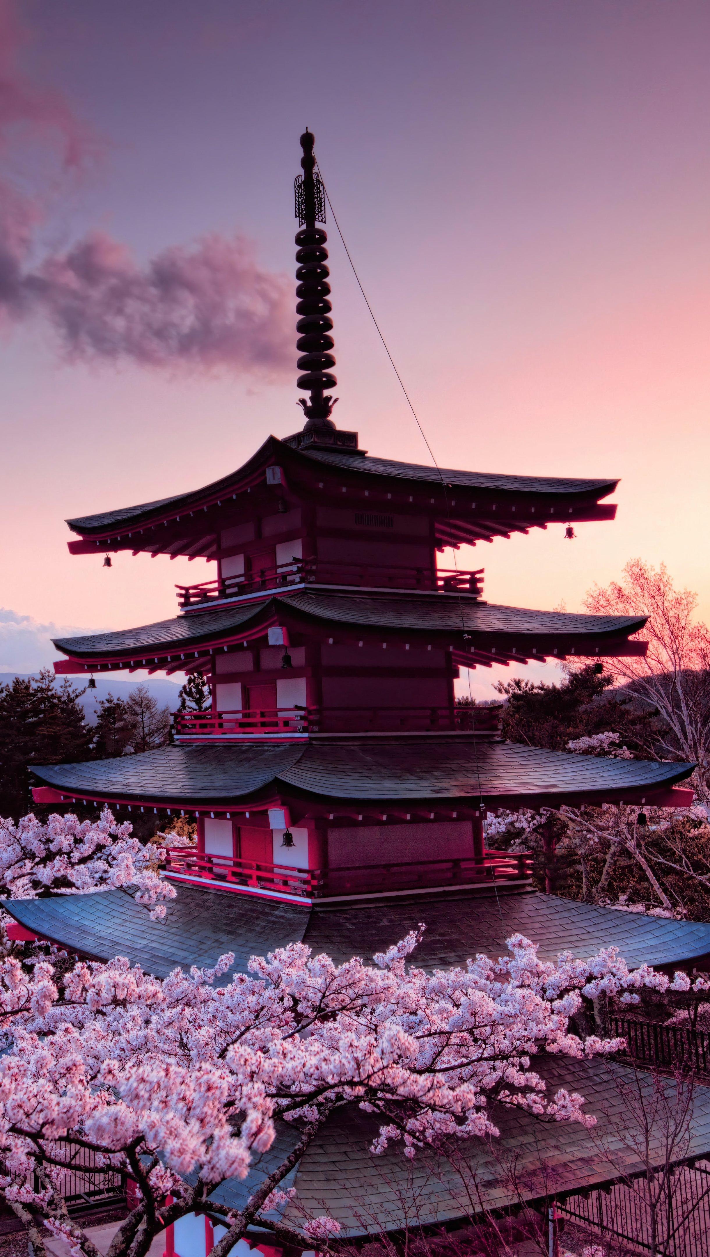 2440x4320 Cherry blossom japanese castle in mount Fuji Wallpaper 8k Ultra HD