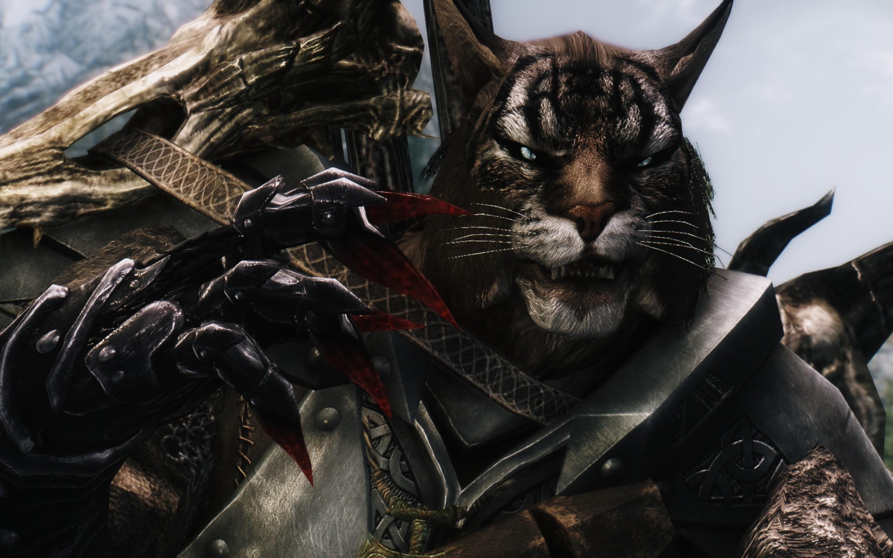 2880x1800 Female Skyrim Wallpaper