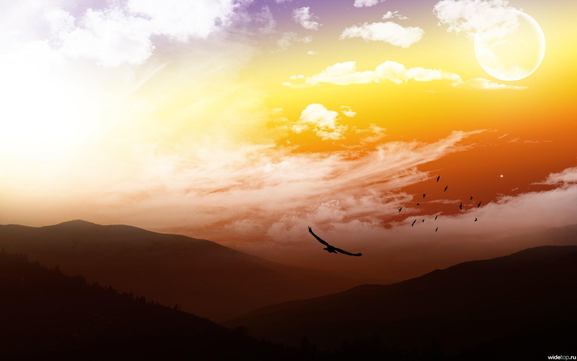 1920x1200 flying eagle wallpaper, bird, osprey, eagle, bald eagle, bird of prey
