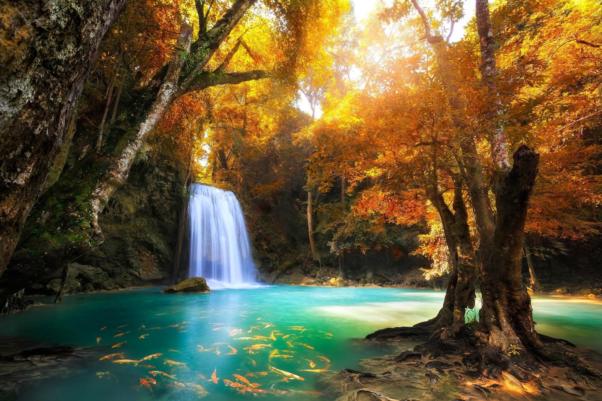 Paradise Waterfall Wallpapers - Top Free Paradise Waterfall Backgrounds ...