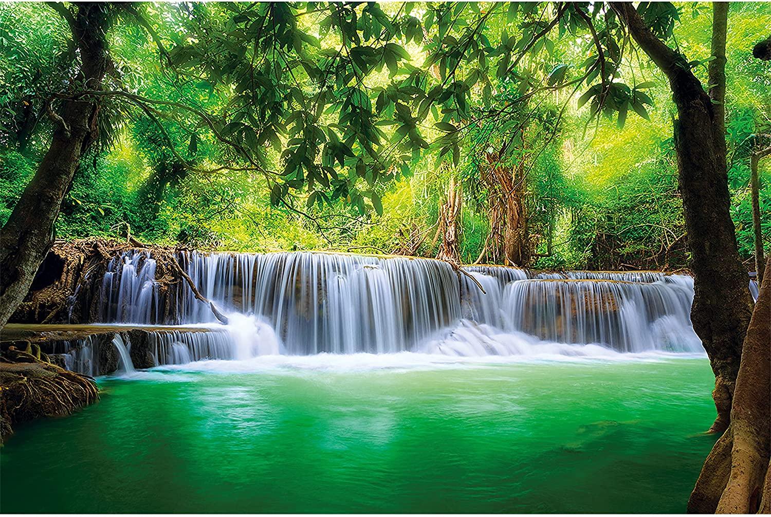 1500x1006 Buy Large Photo Wallpaper Feng Shui Decoration Nature Jungle Paradise Asia Travel Thailand Wellness Spa Relax Picture Decor Mural (132.3x93.7in) Online in Indonesia. B00SVDTD9C