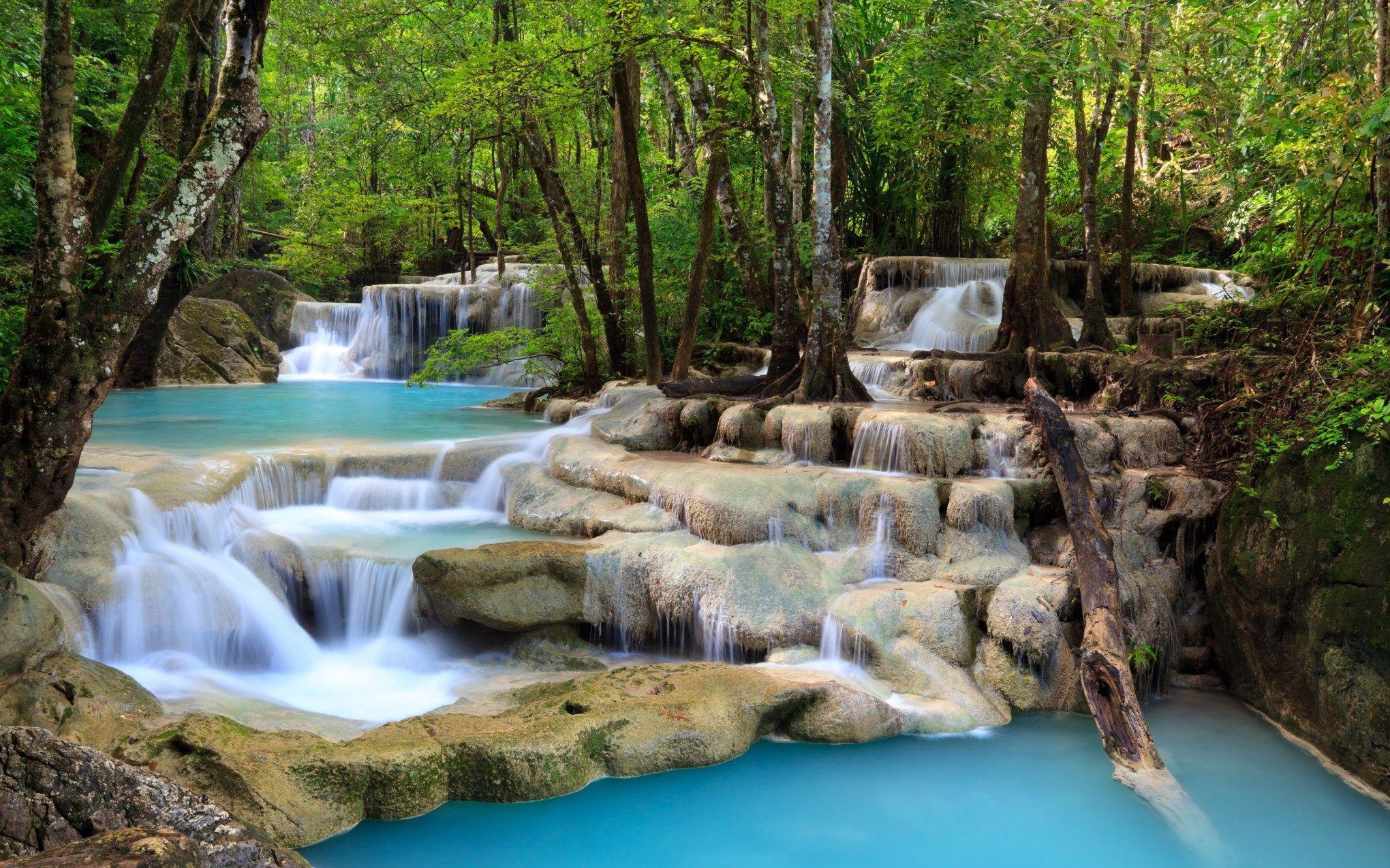 2040x1275 Forest Waterfall HD Wallpaper