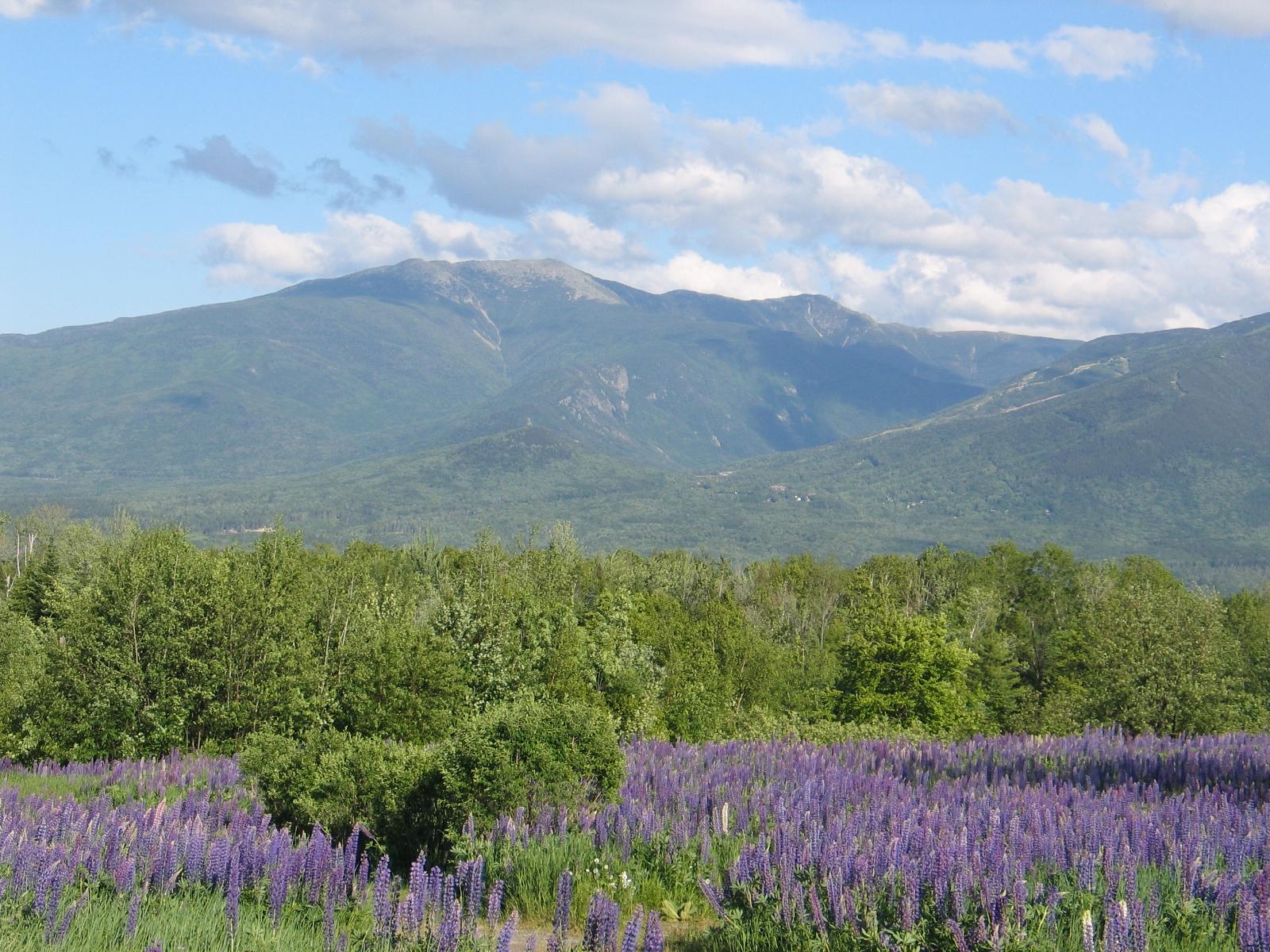 New England Spring Wallpapers - Top Free New England Spring Backgrounds