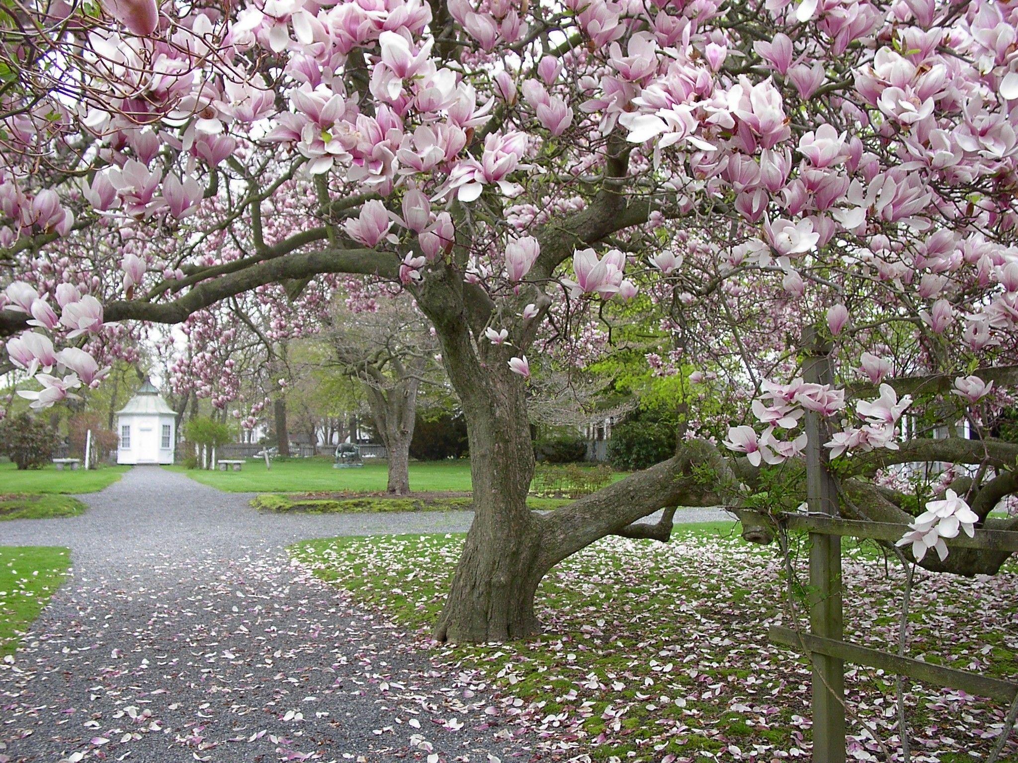 New England Spring Wallpapers - Top Free New England Spring Backgrounds ...