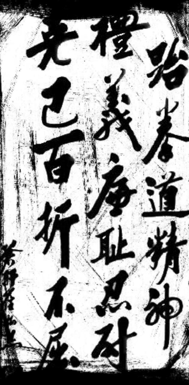 630x1280 Taekwondo wallpaper