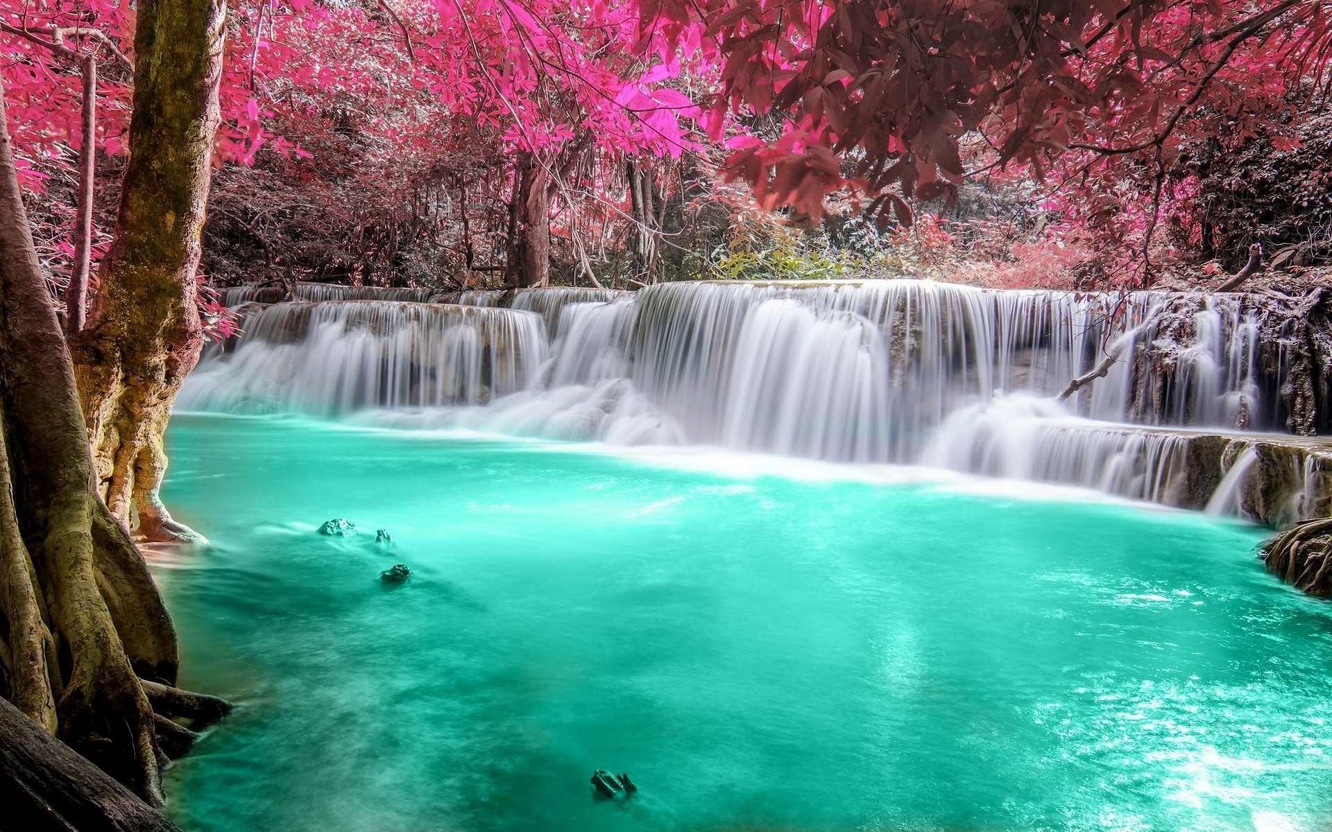 1920x1200 Tropical Wallpaper HD Wallpaper Tropical Rainforest