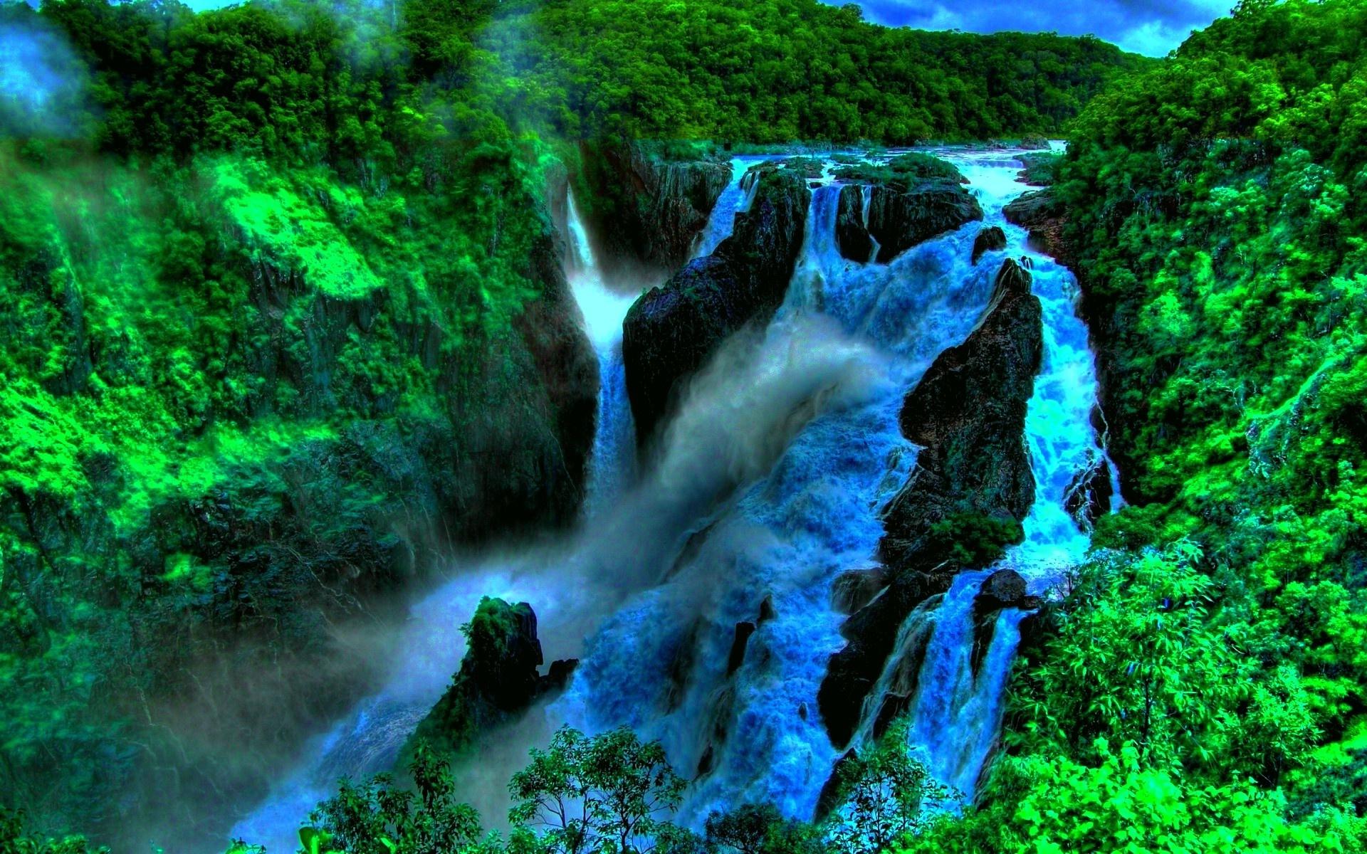 1920x1200 Rainforest HD Wallpaper and Background