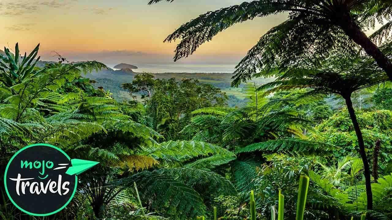 1280x720 Beautiful Rainforests
