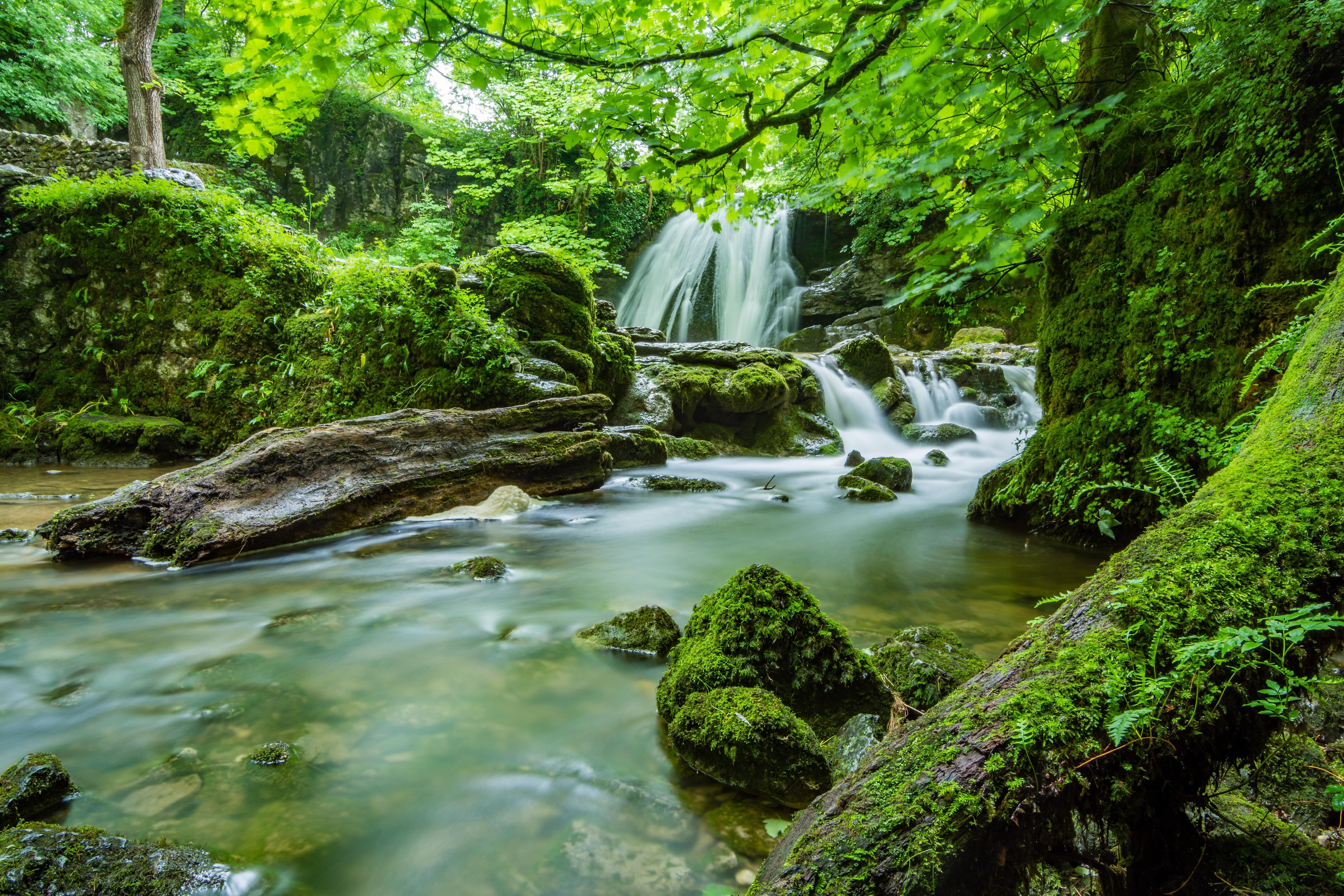 6000x4000 Best Amazon Rainforest Photo · 100% Free Downloads