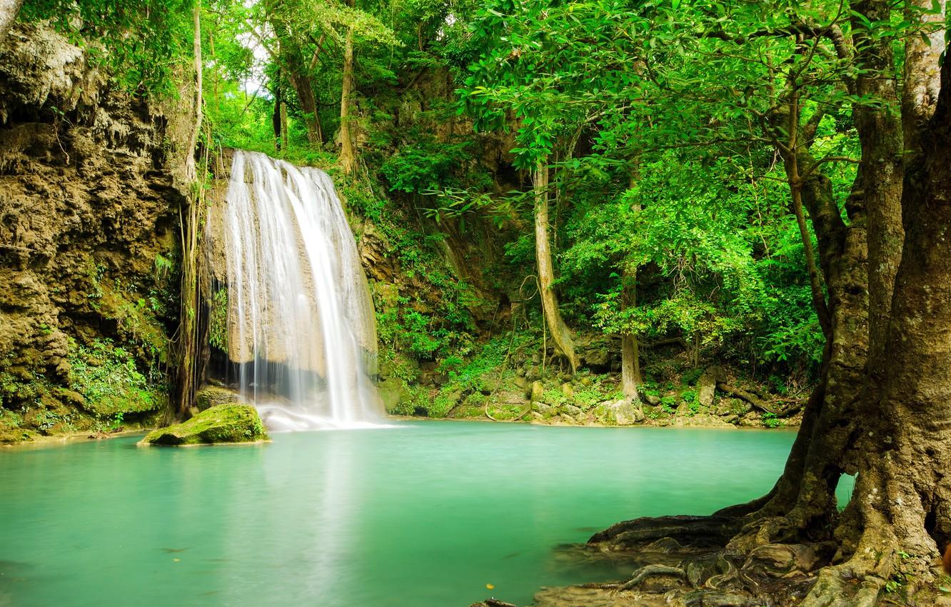 1332x850 Wallpaper forest, river, waterfall, forest, river, landscape, jungle, beautiful, waterfall, tropical image for desktop, section природа