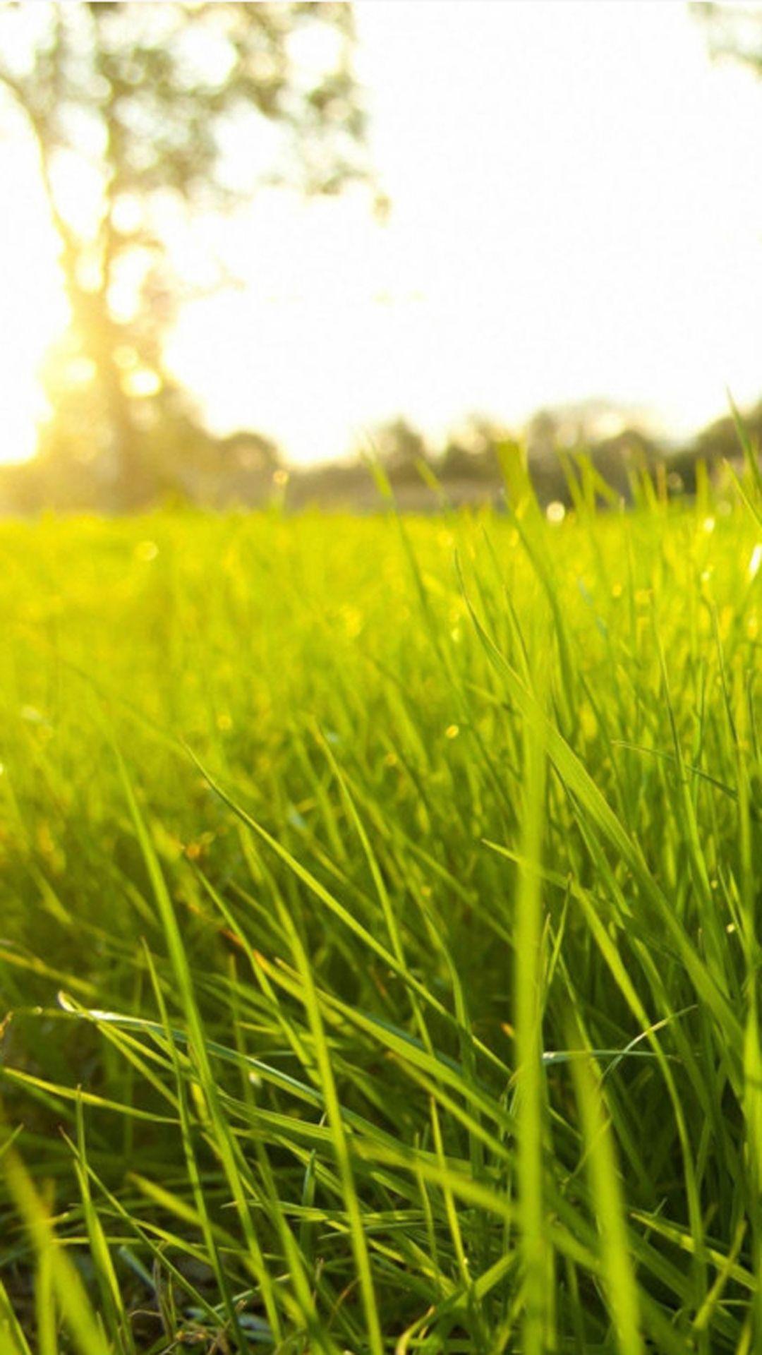1080x1920 Best Samsung Galaxy S4 Wallpaper