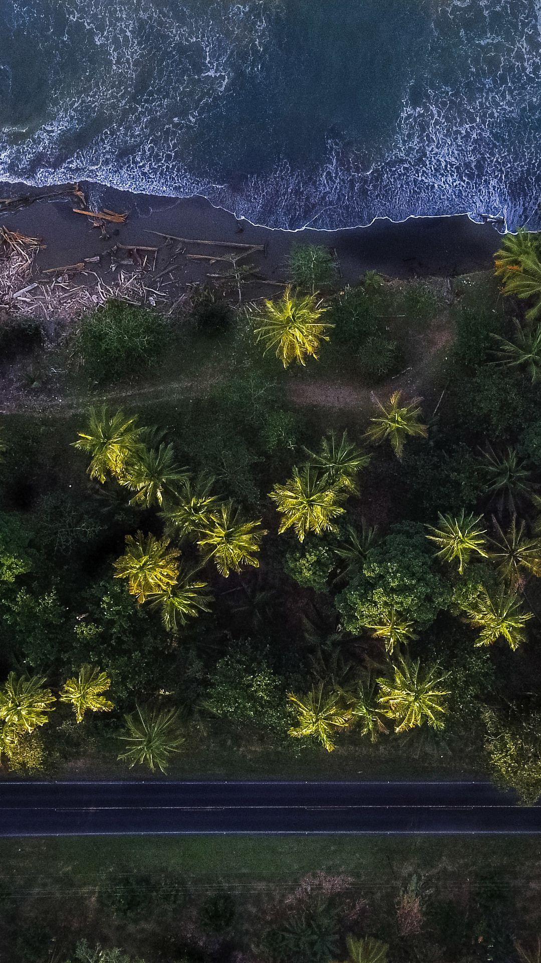 1080x1920 Aerial Shot Of Trees 4k iPhone 6s, 6 Plus, Pixel xl , One