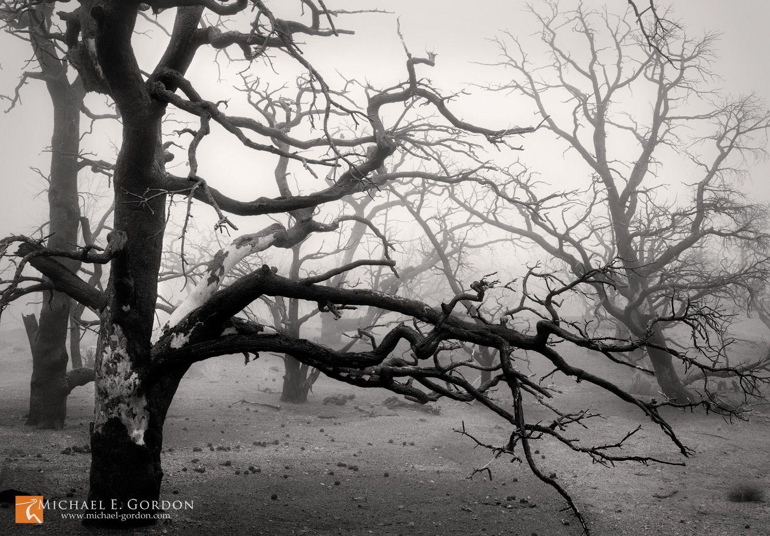 1508x1050 Free Michael E. Gordon Photography Wallpaper for your Desktop