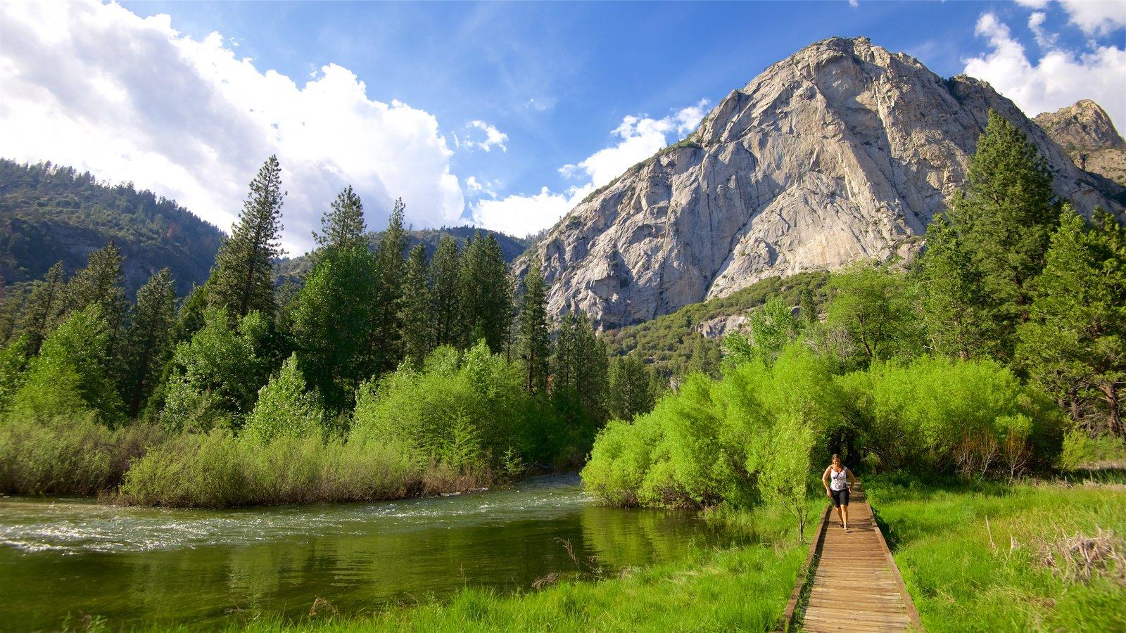 1600x900 Free download Sequoia and Kings Canyon National Parks picture View photo and [1600x900] for your Desktop, Mobile & Tablet. Explore Kings Canyon National Park Wallpaper. Kings Canyon National Park
