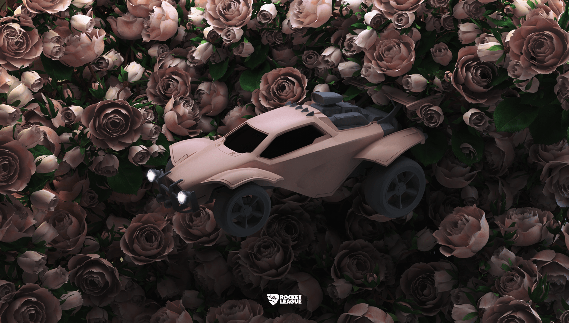 1900x1080 My Rocket league Wallpaper