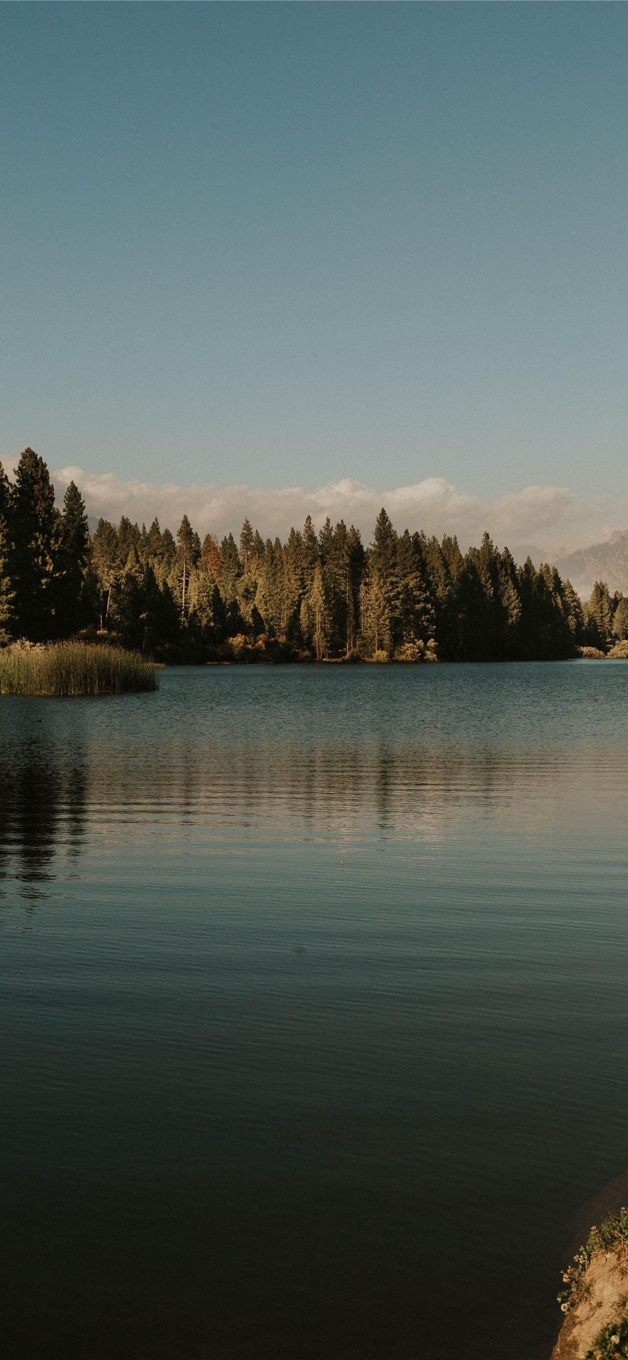 1284x2778 kings canyon national park iPhone Wallpaper Free Download