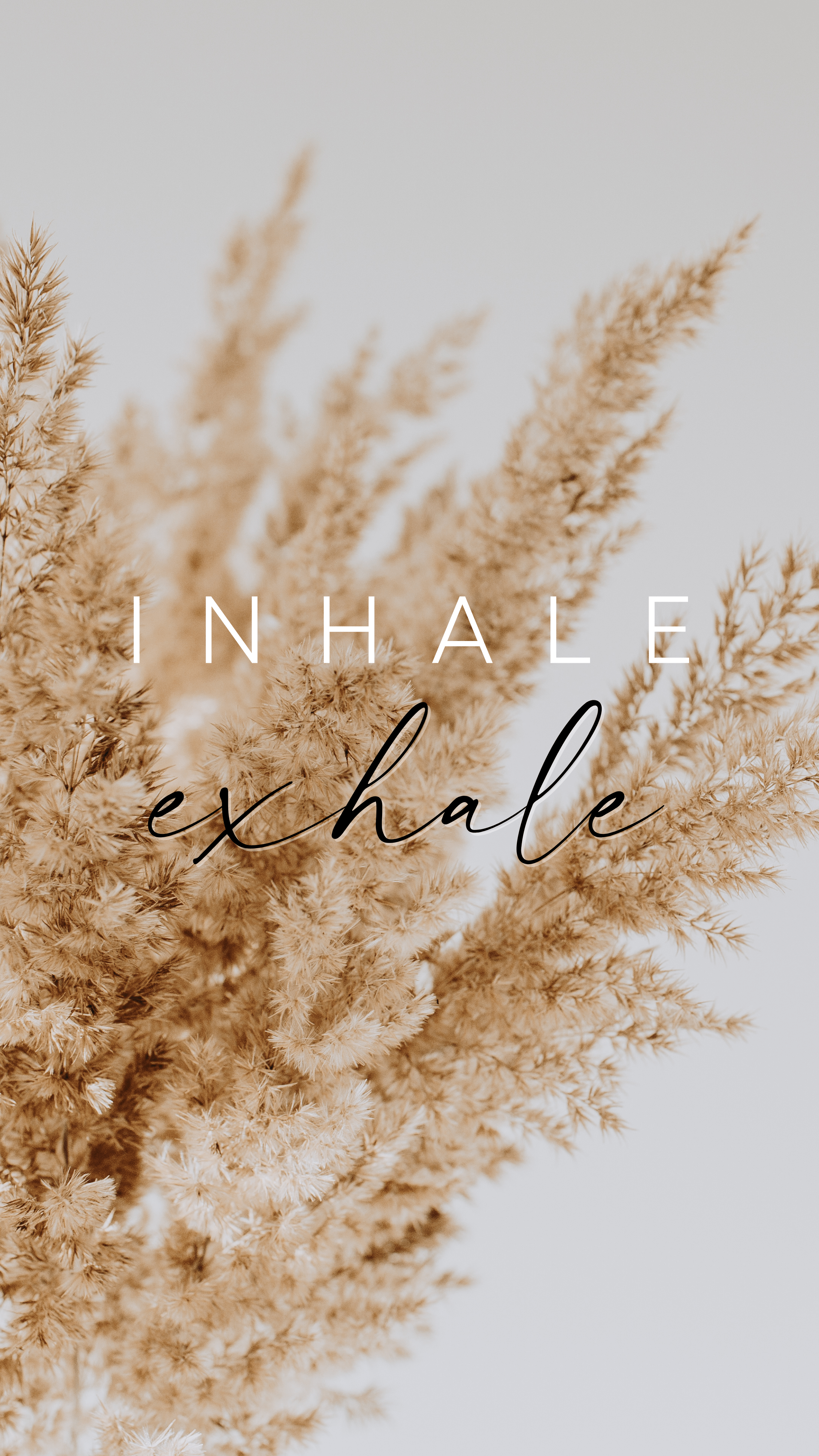 2250x4000 Free Desktop & Smartphone Wallpaper