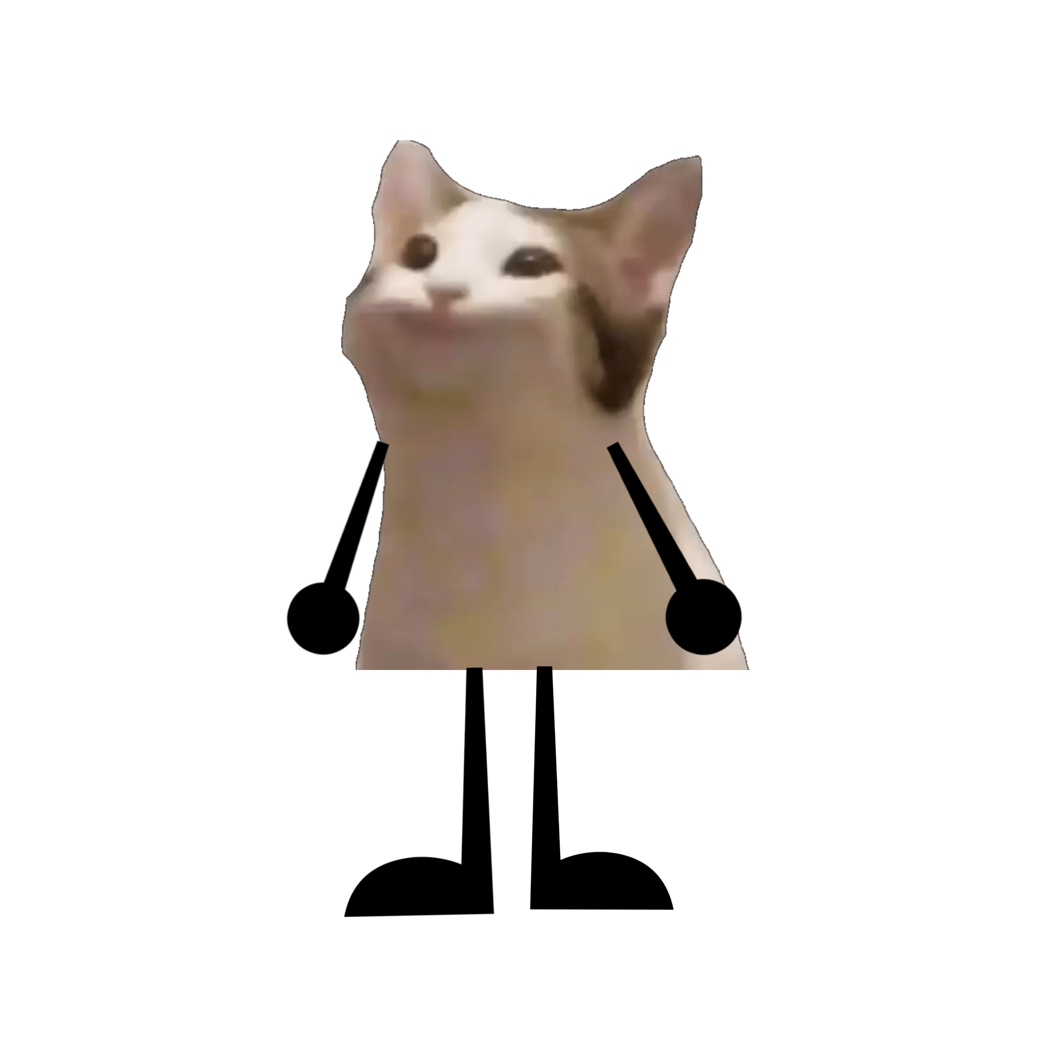 Pop cat обои