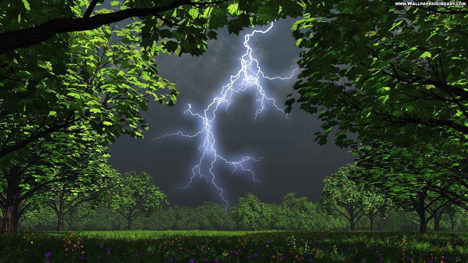 1600x900 Hd Desktop Wallpaper Nature Framing Lightning Image