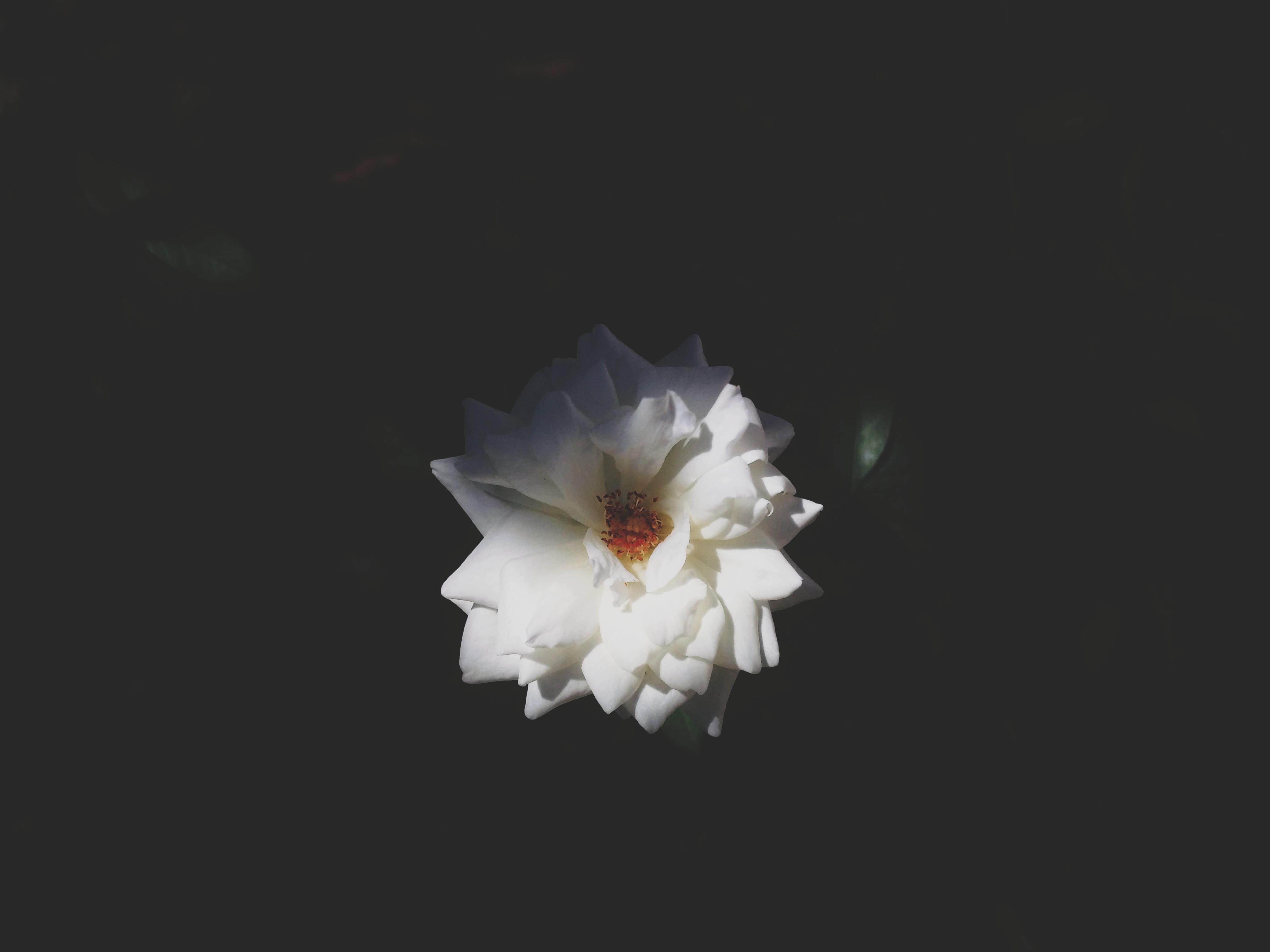 4160x3120 social anxiety