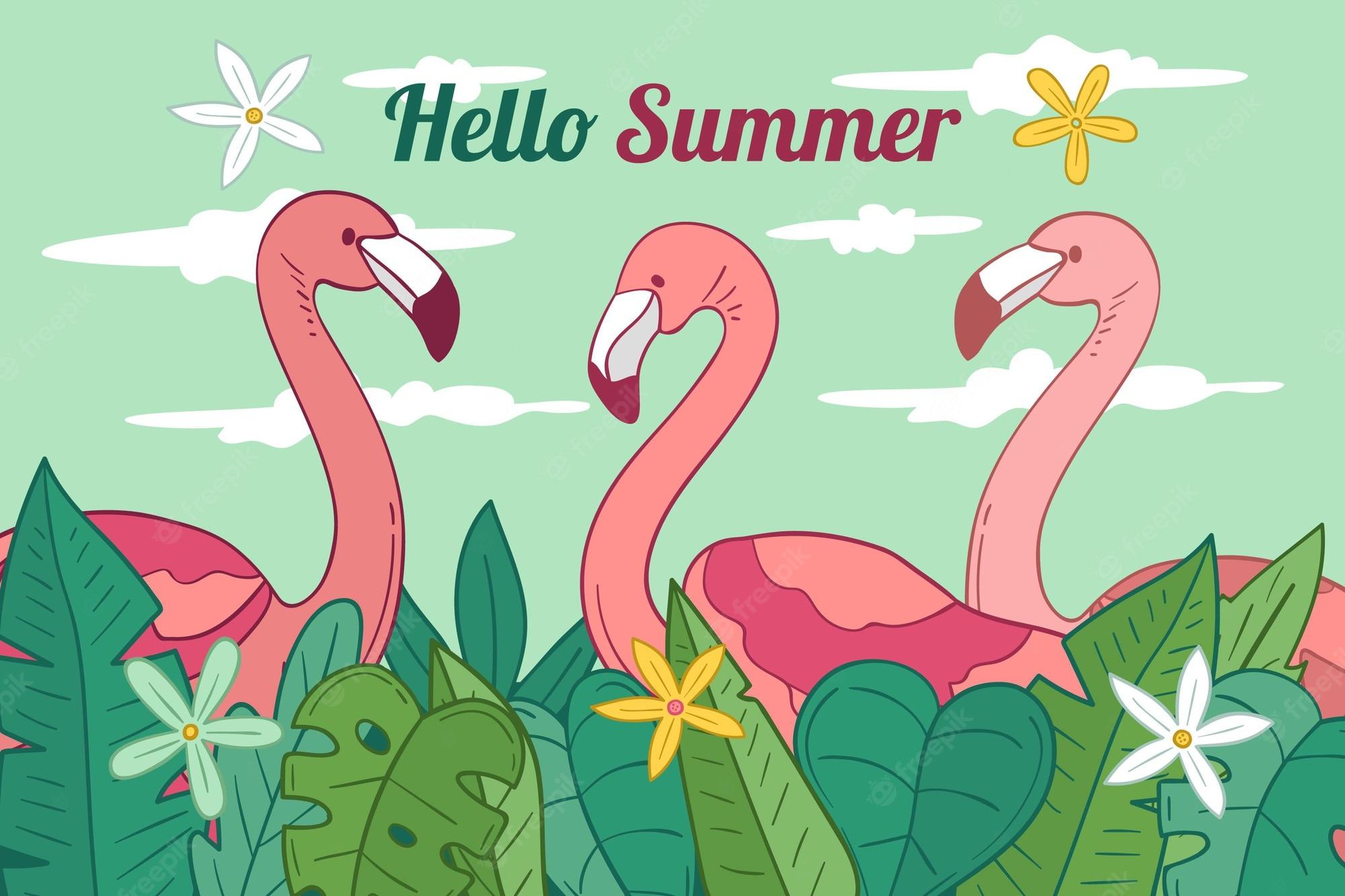 2000x1333 Cute Flamingo Image. Free Vectors, & PSD