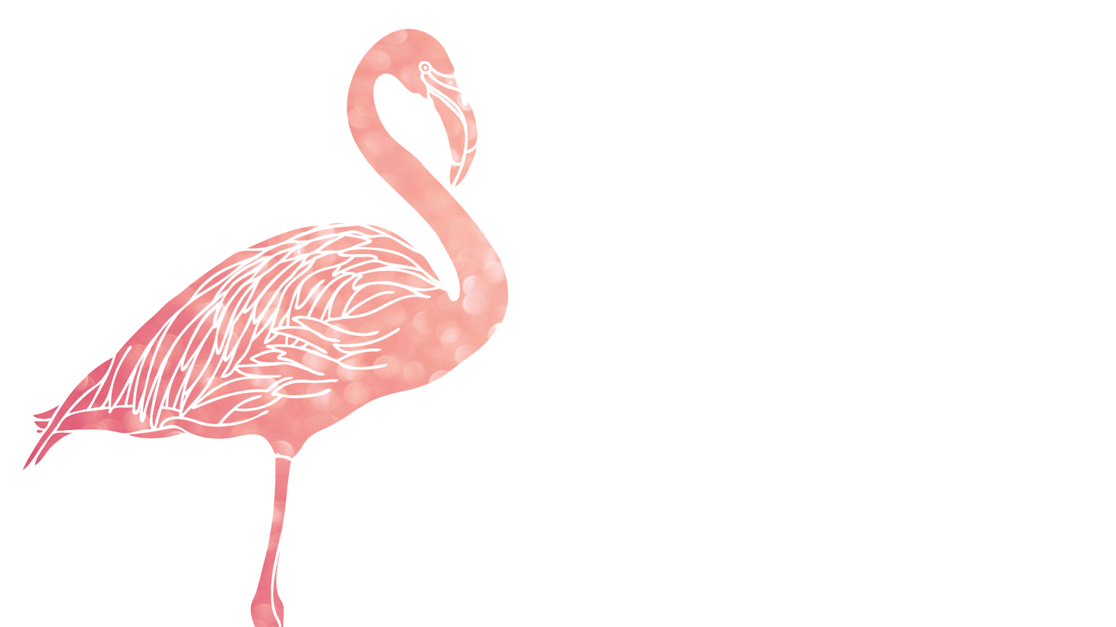 1600x900 FREEBIES // PINK FLAMINGO DESKTOP WALLPAPERS