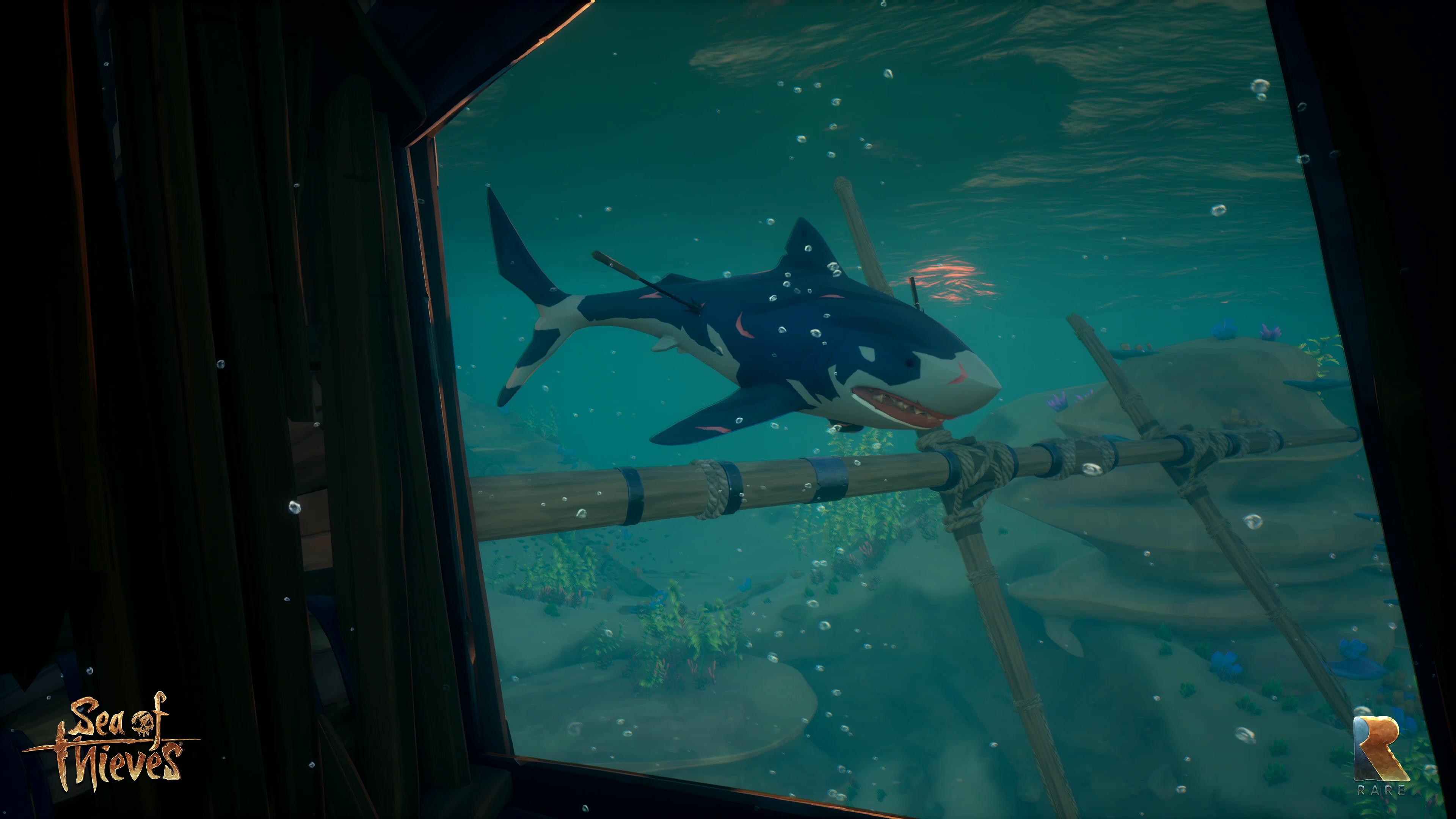 3840x2160 Sea Of Thieves Servers Crushed Under Wave Of Would Be Pirates