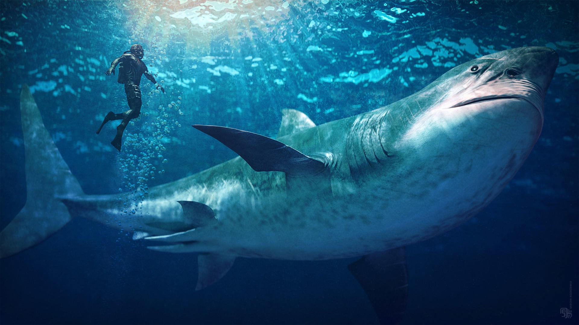 1920x1080 Carcharocles Megalodon